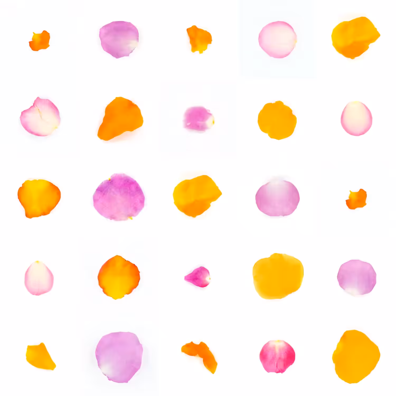 Infinite Petals 5x5#617