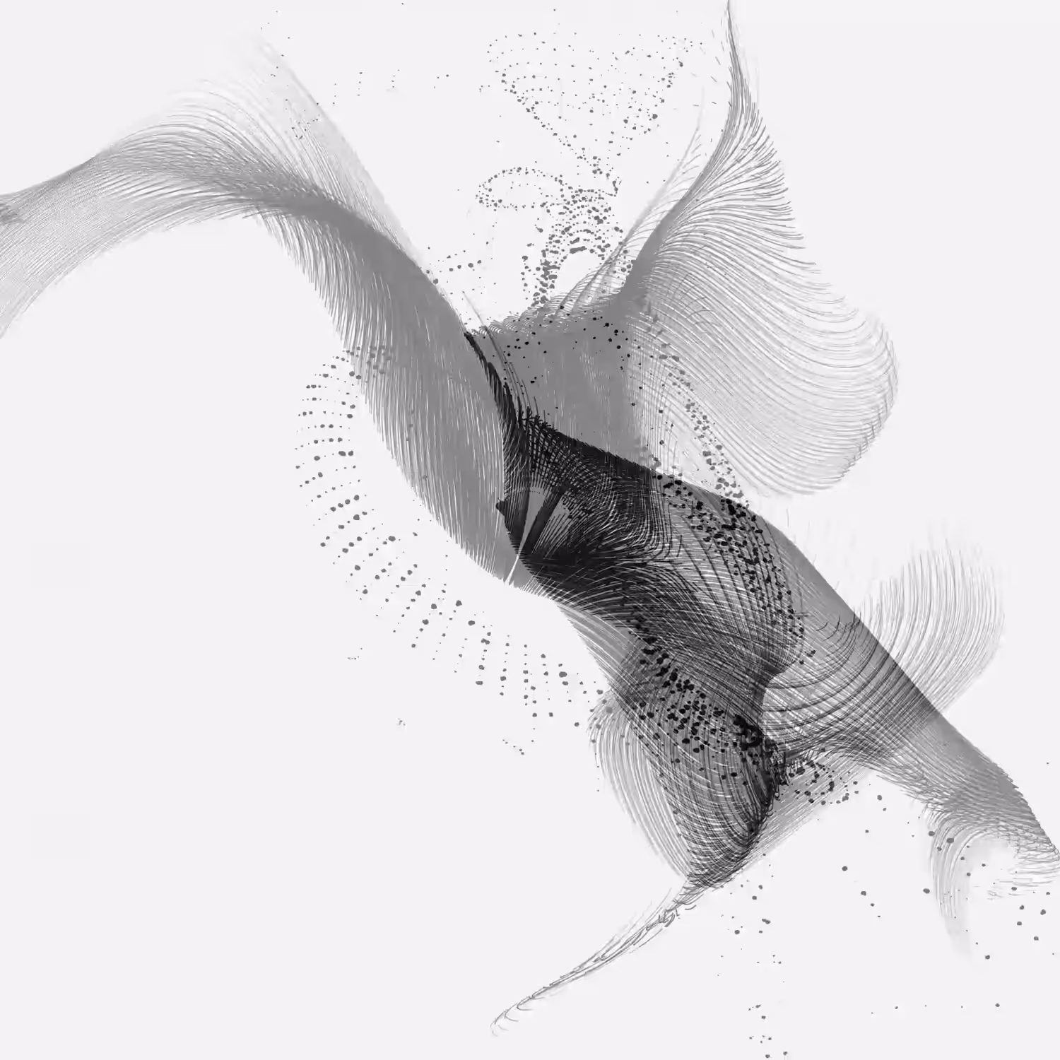 Murmuration Meditation