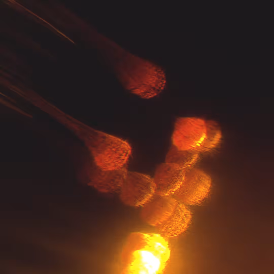 ADHISTA / Sunrising 001