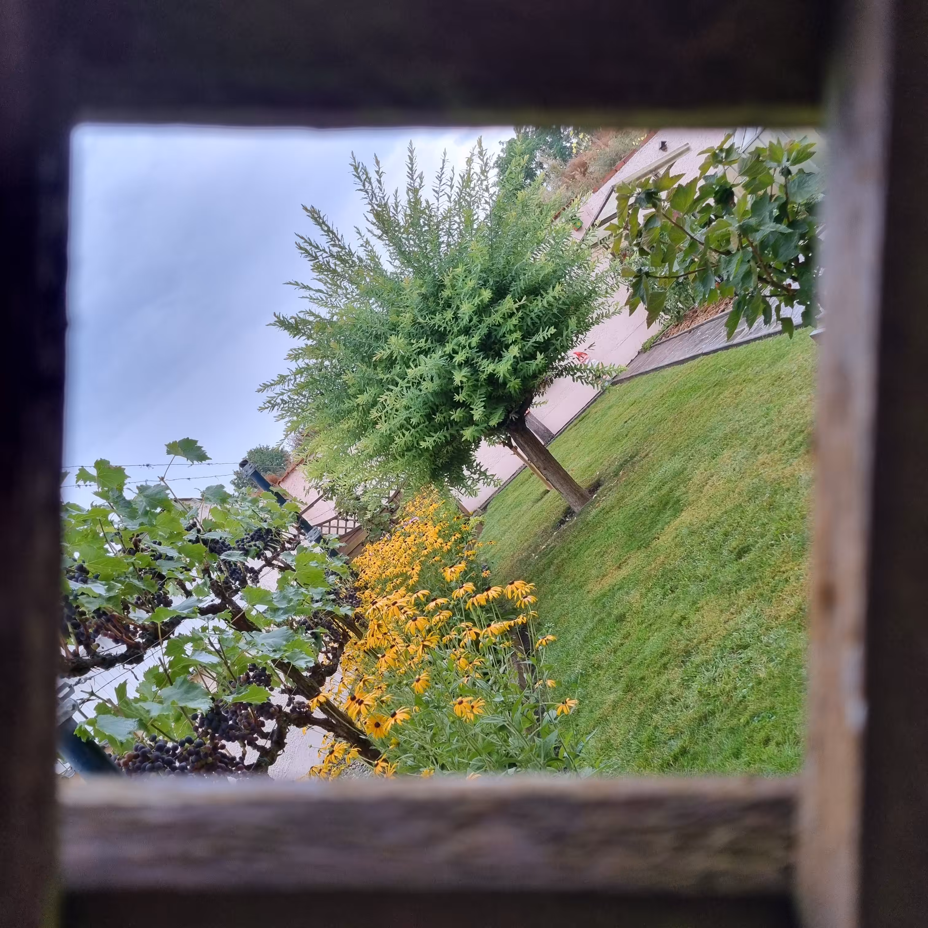 Ingolstadt #3