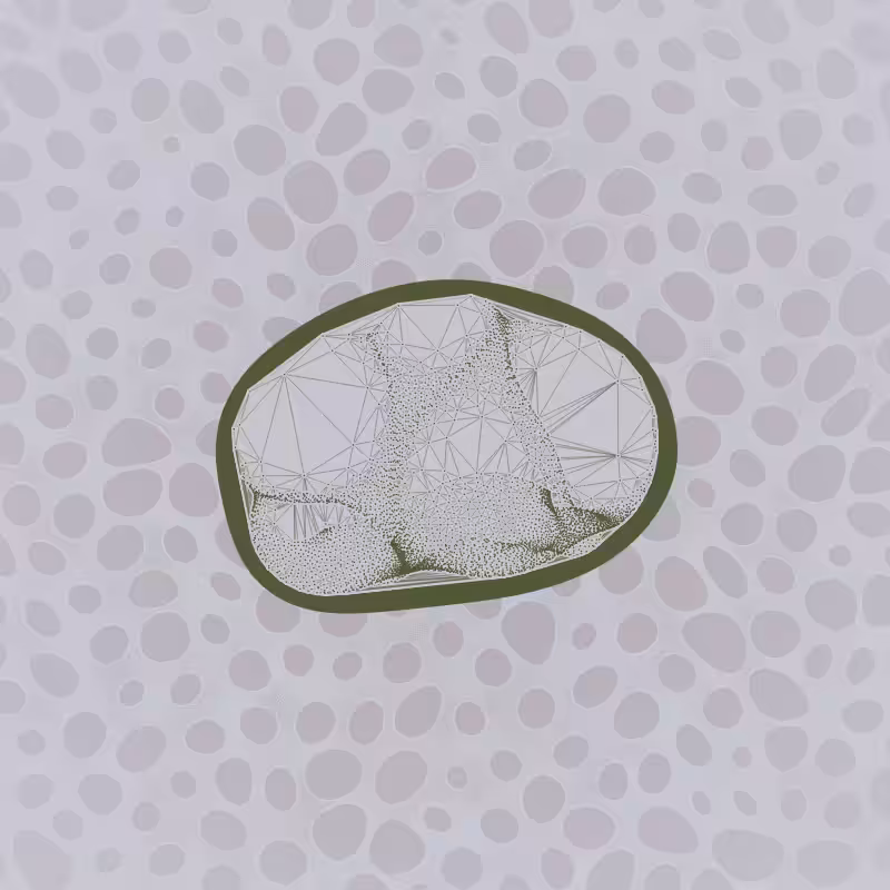 Protista #29