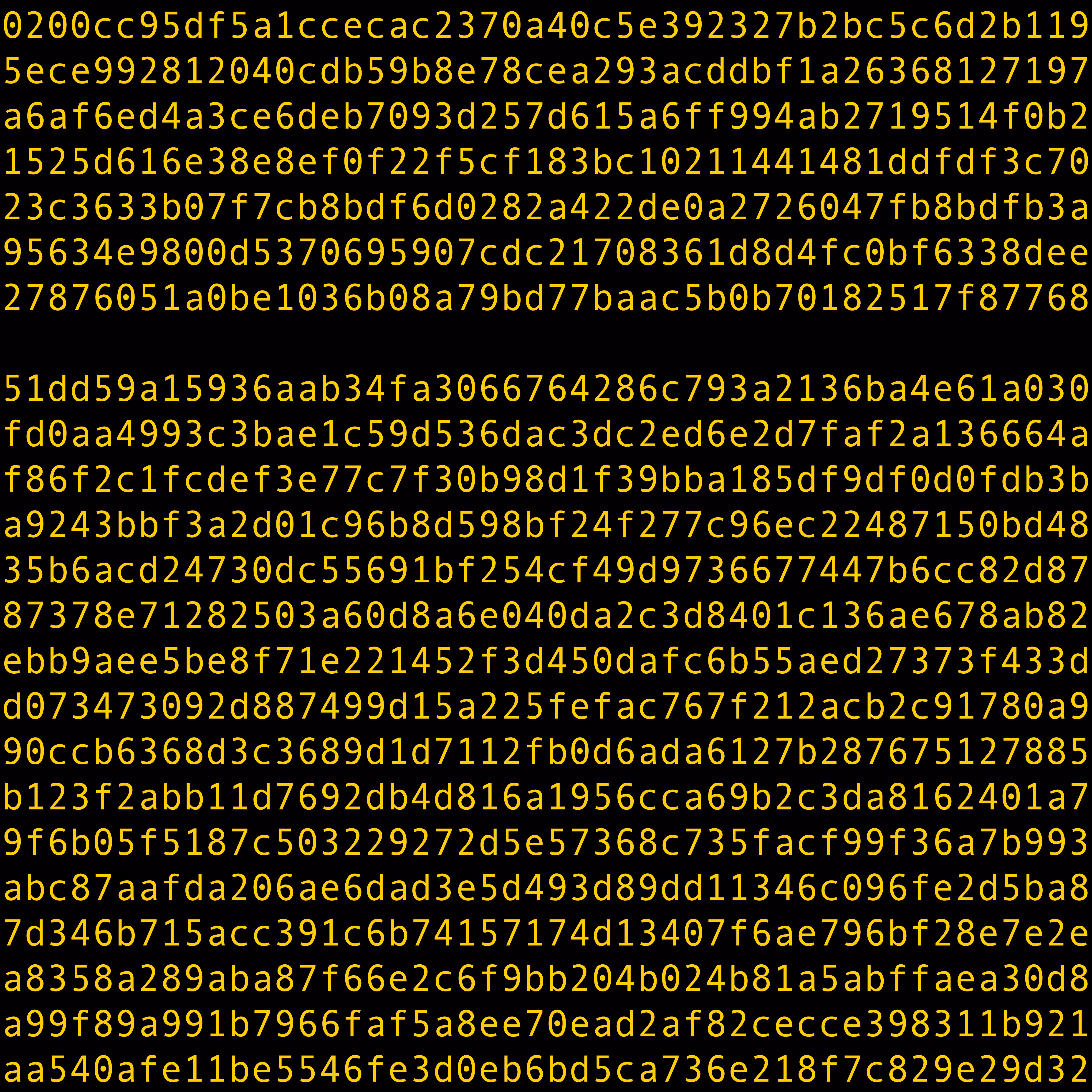 1111 #0281
