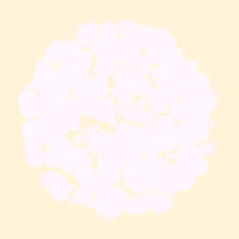Furbol #991