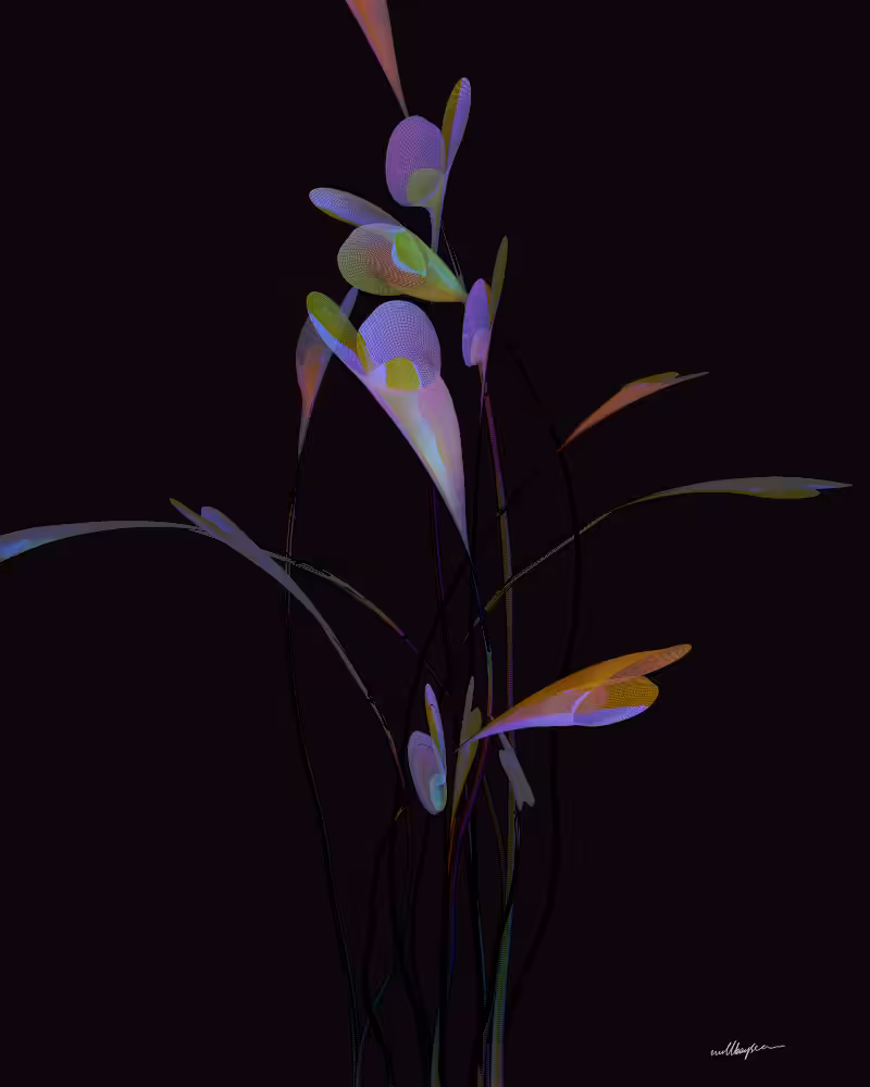 InBloom #167