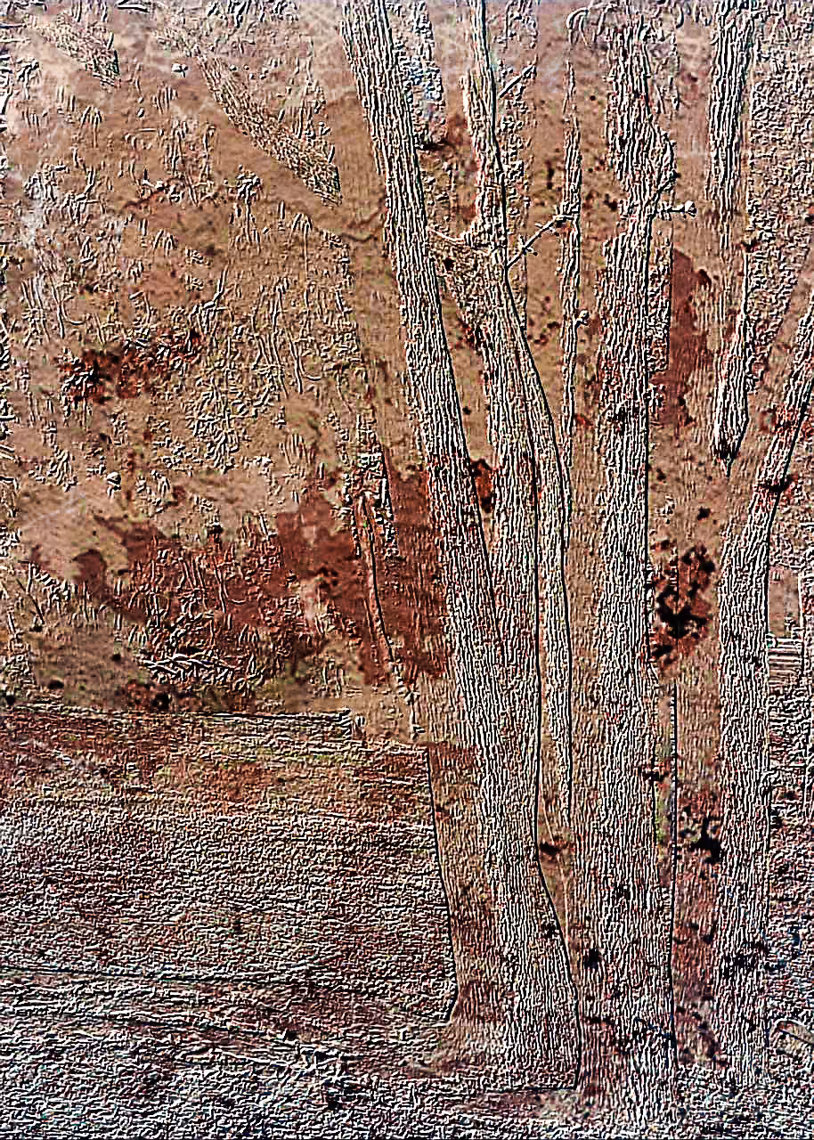 The trees(4)