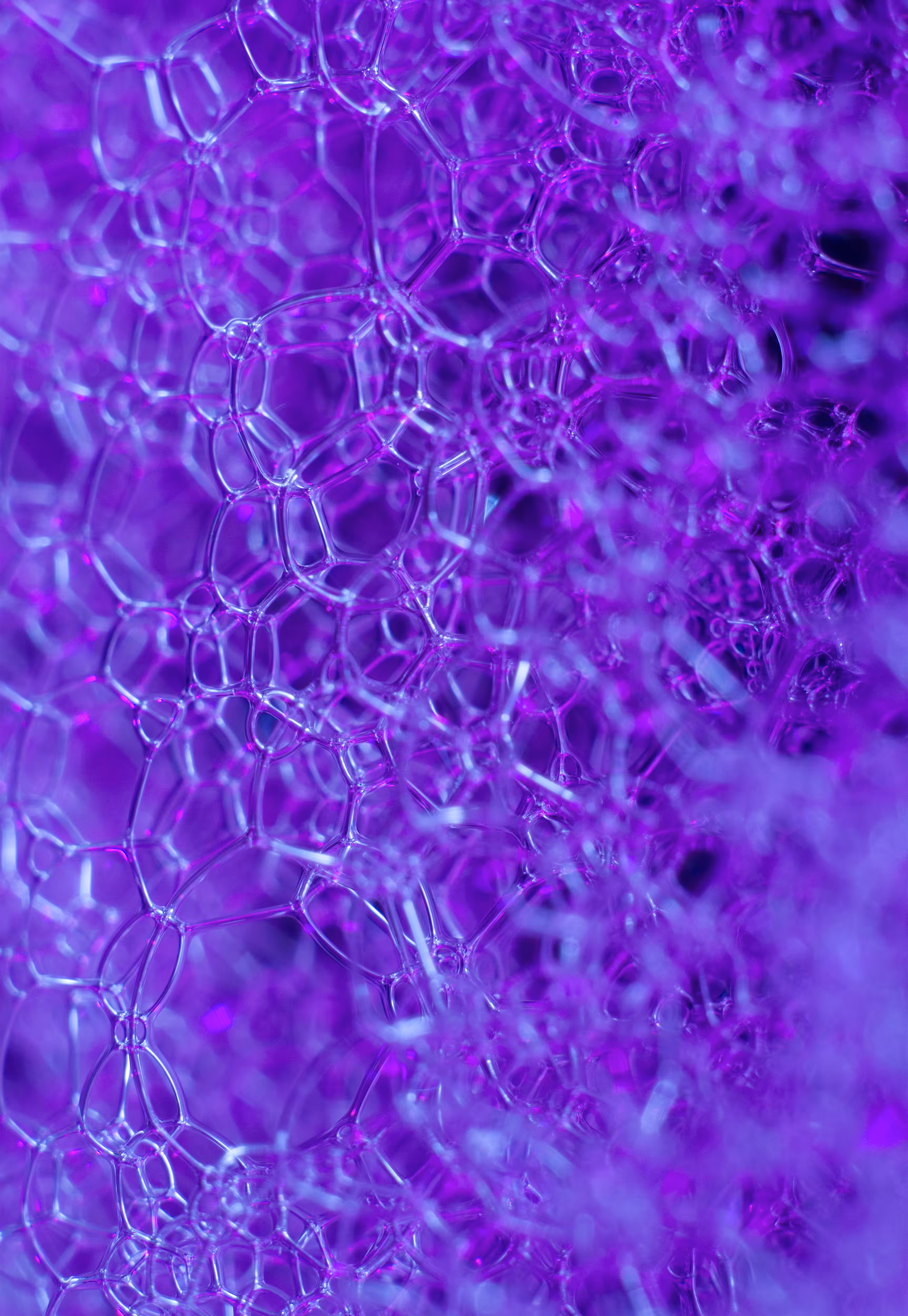 #115 Bubbles