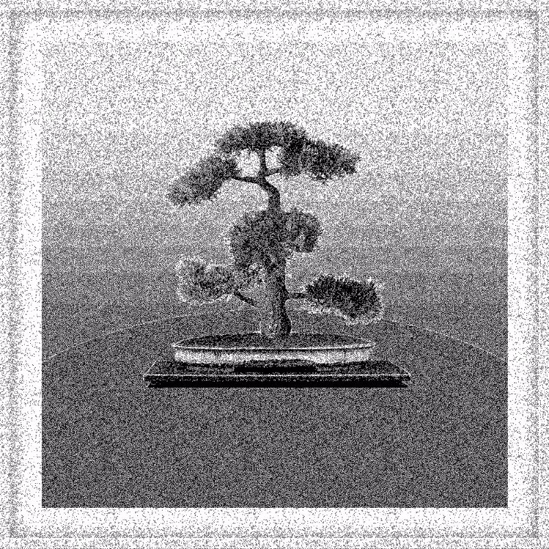 Bonsai Bonanza #439