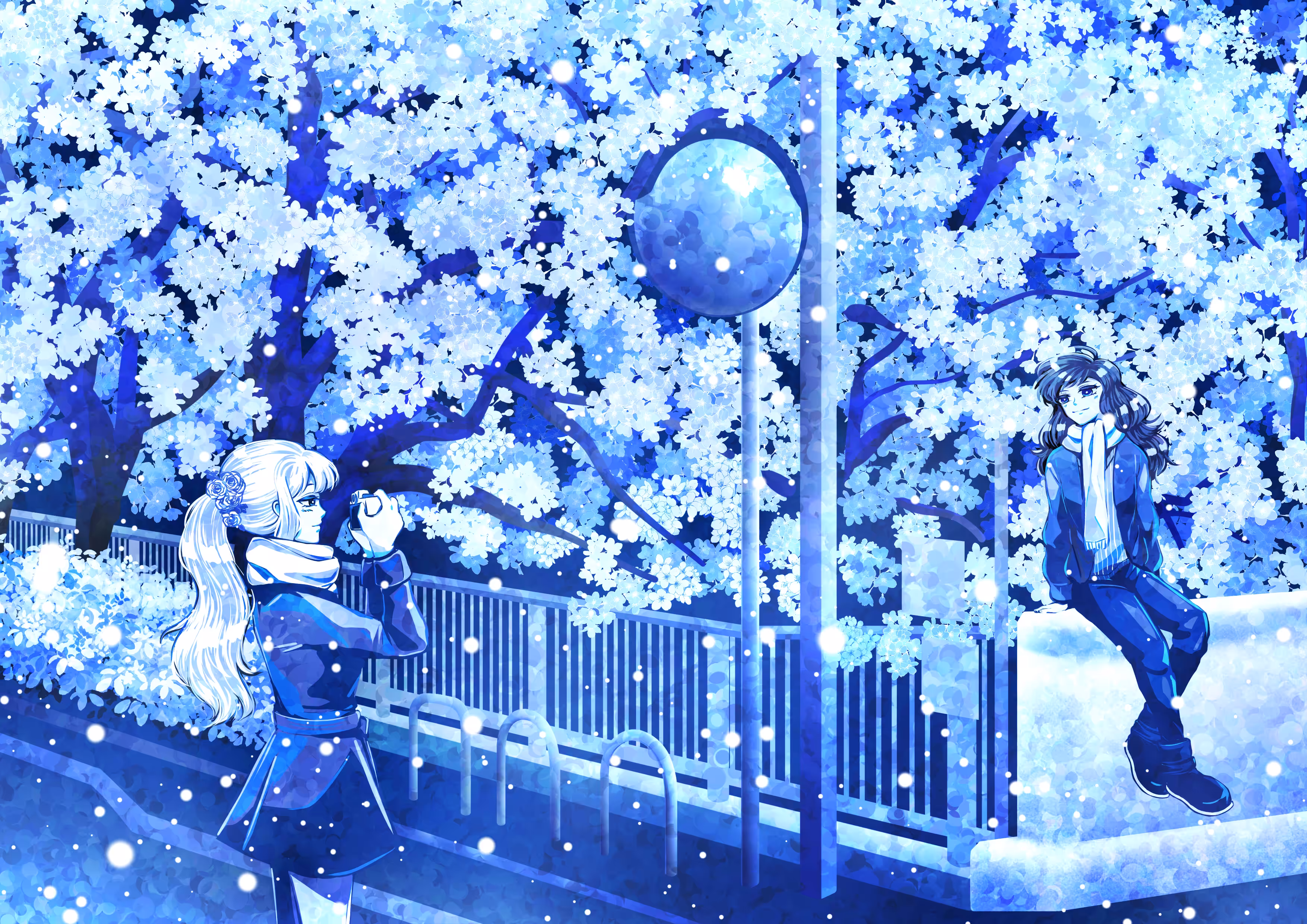 Winter Night in Shibuya