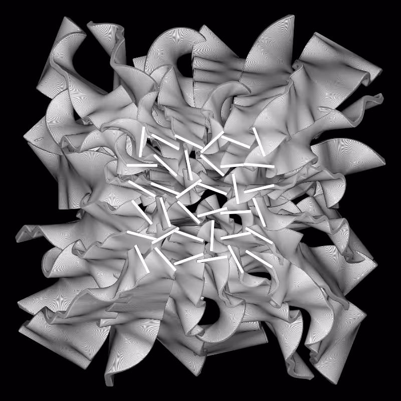 Seaweed #22