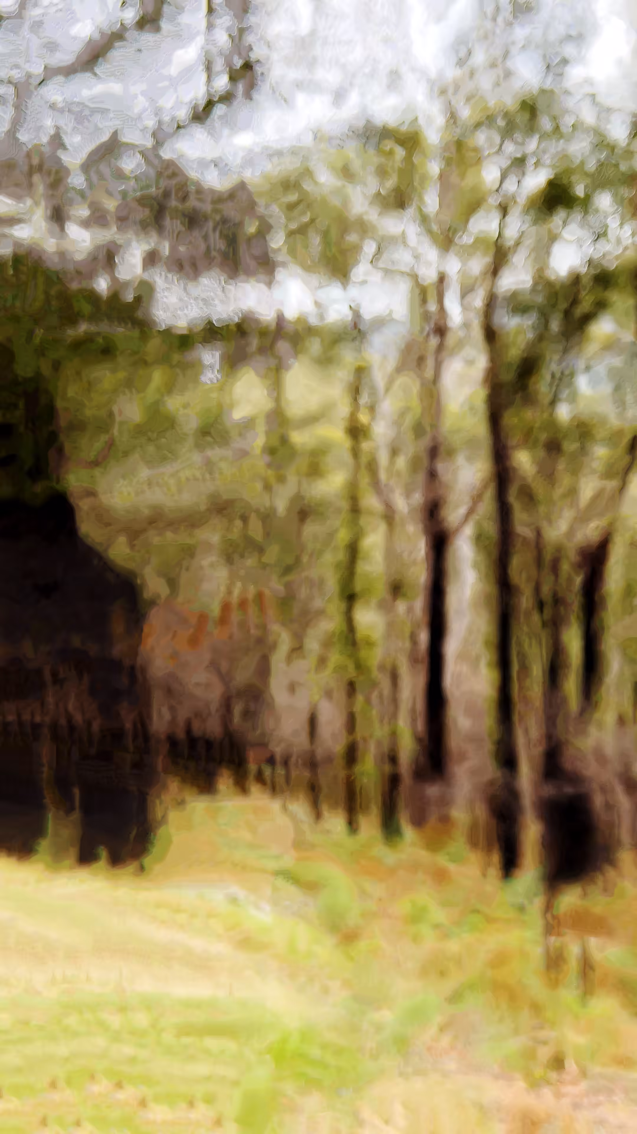 Chimeric Interlude (II)