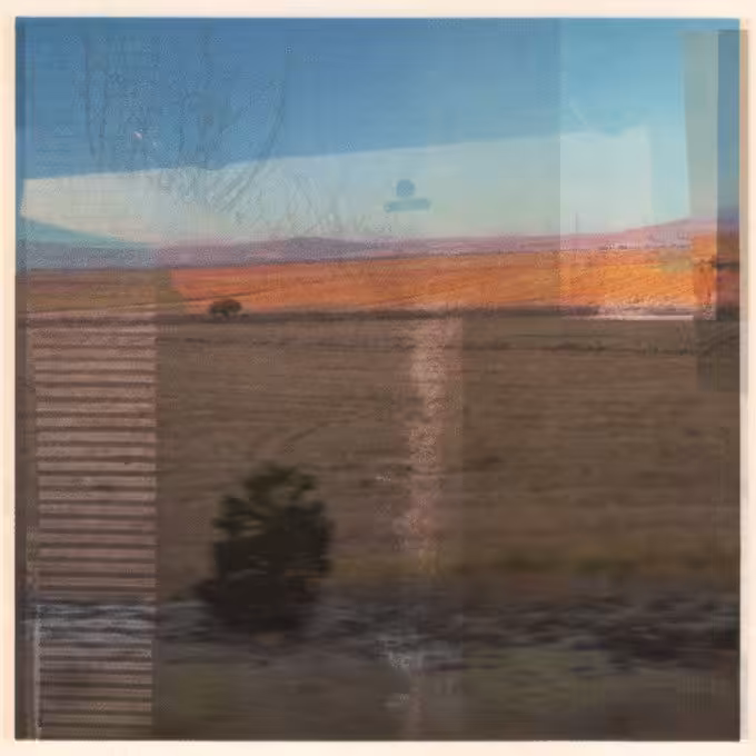 Forgotten Land