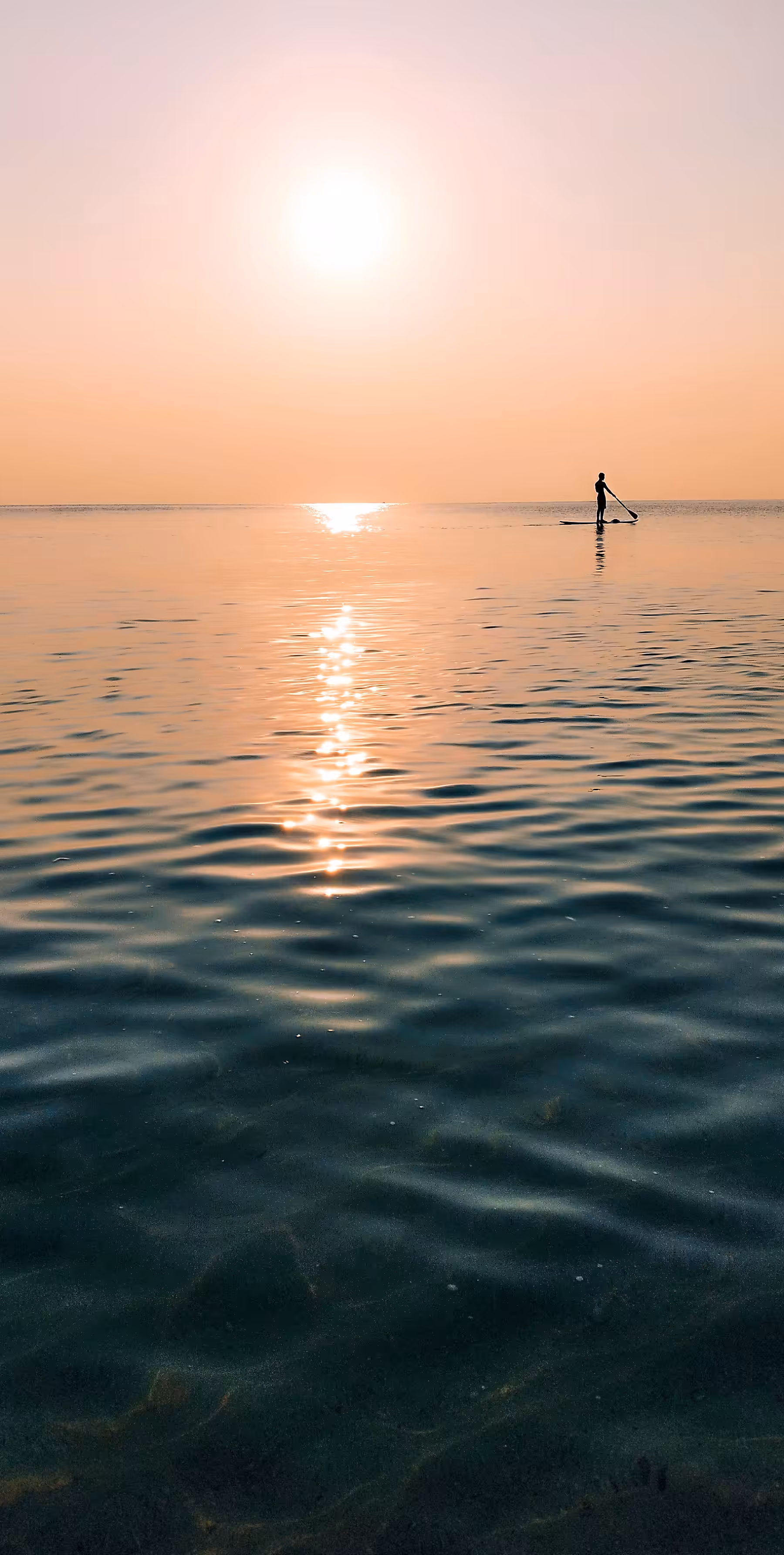 Loneliness