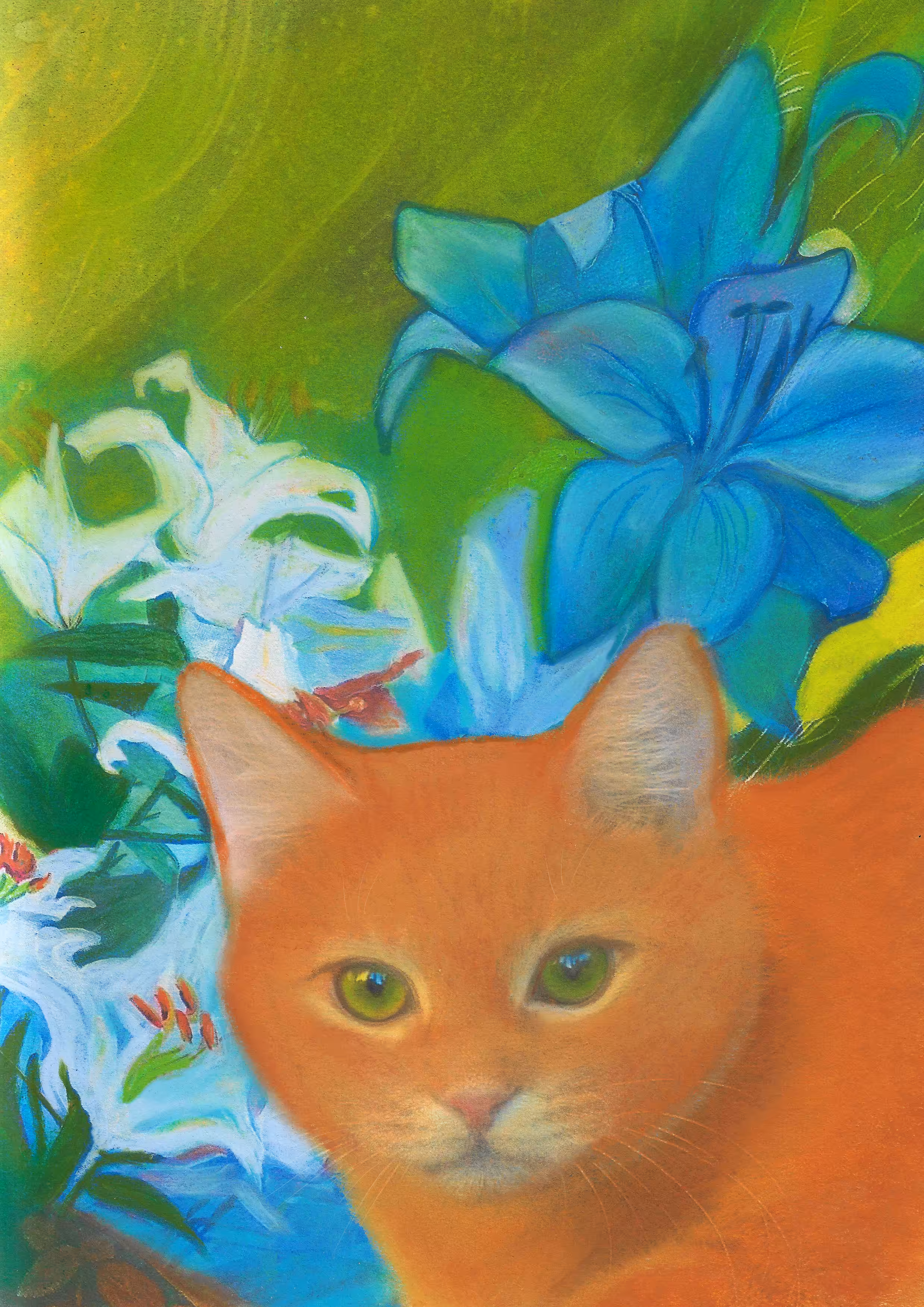 cats&another beautiful pets: Ginger cat 