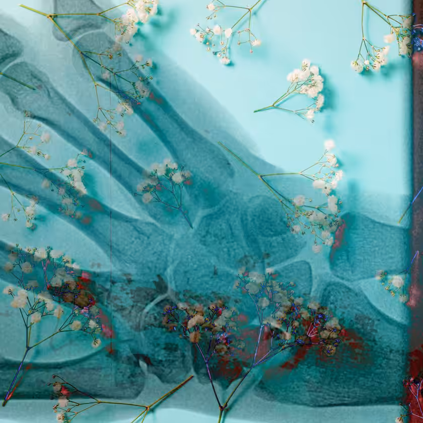 flowers and death #11