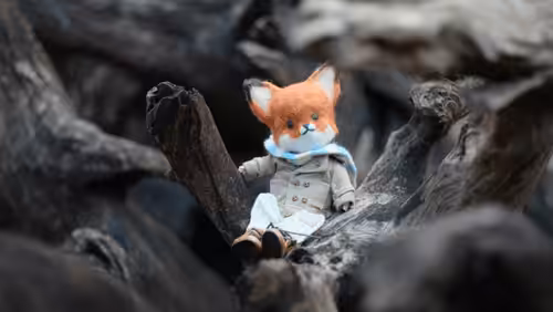 Little's diary 18 Fox in the wood