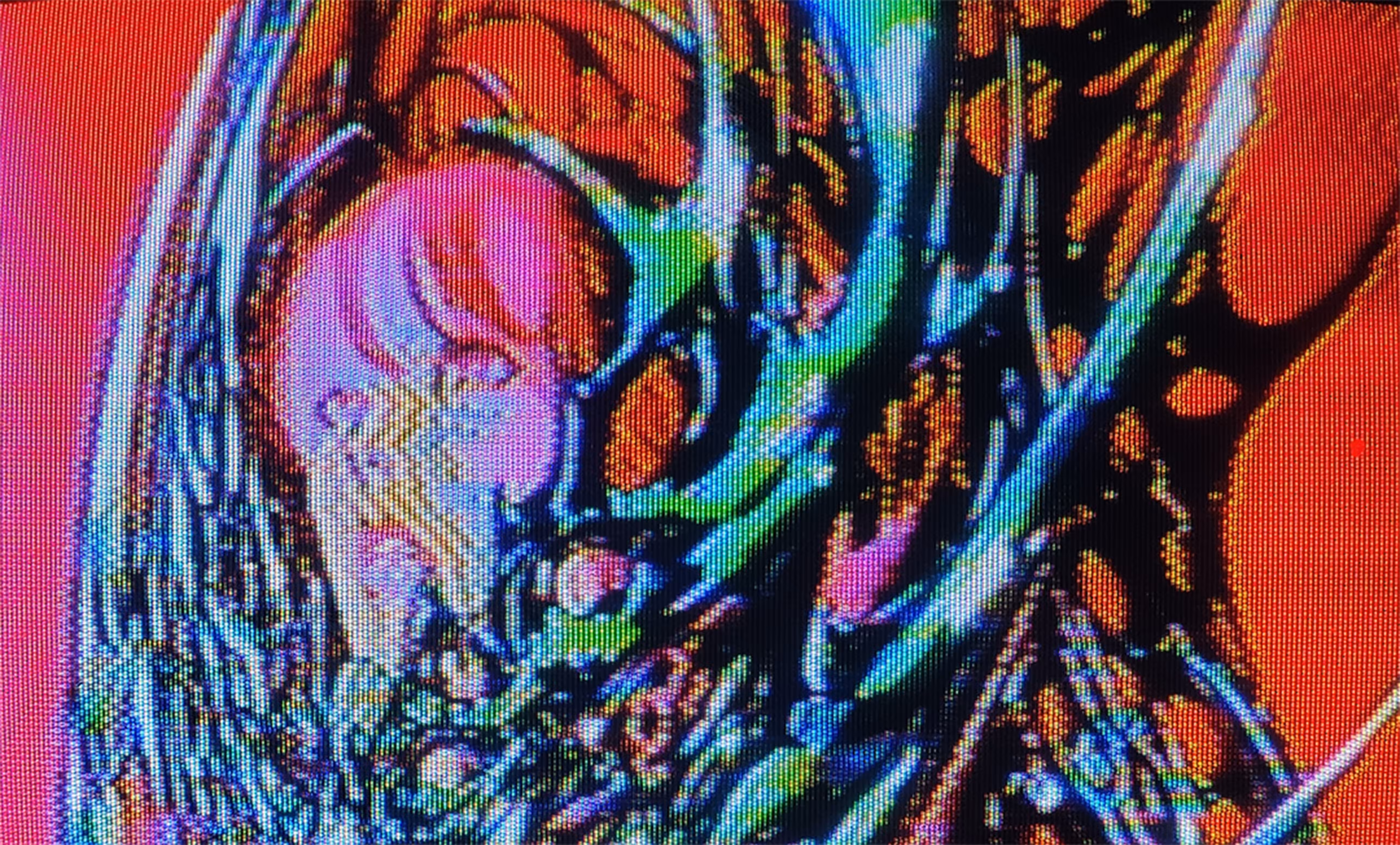 became a cyberborg