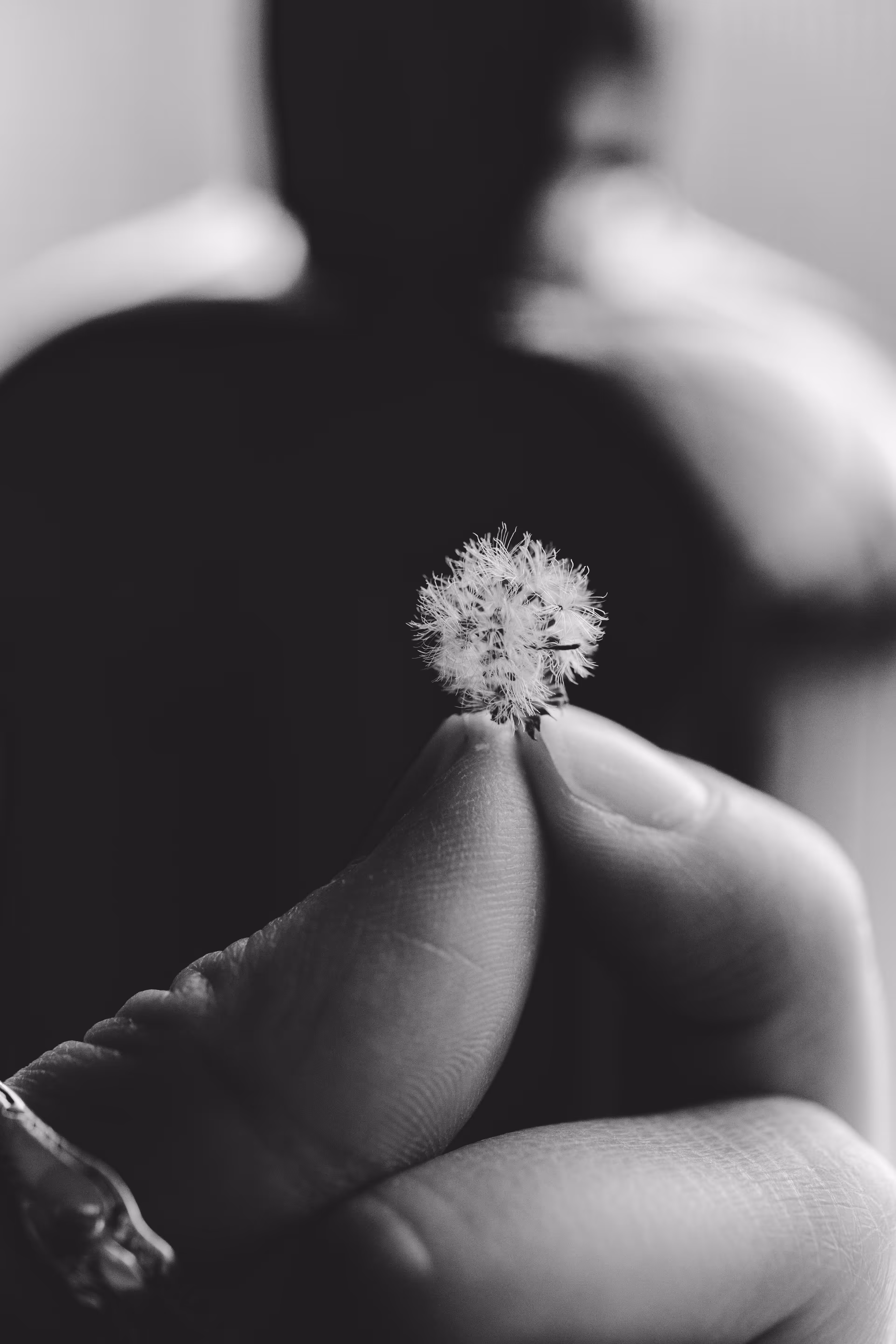 _new life
