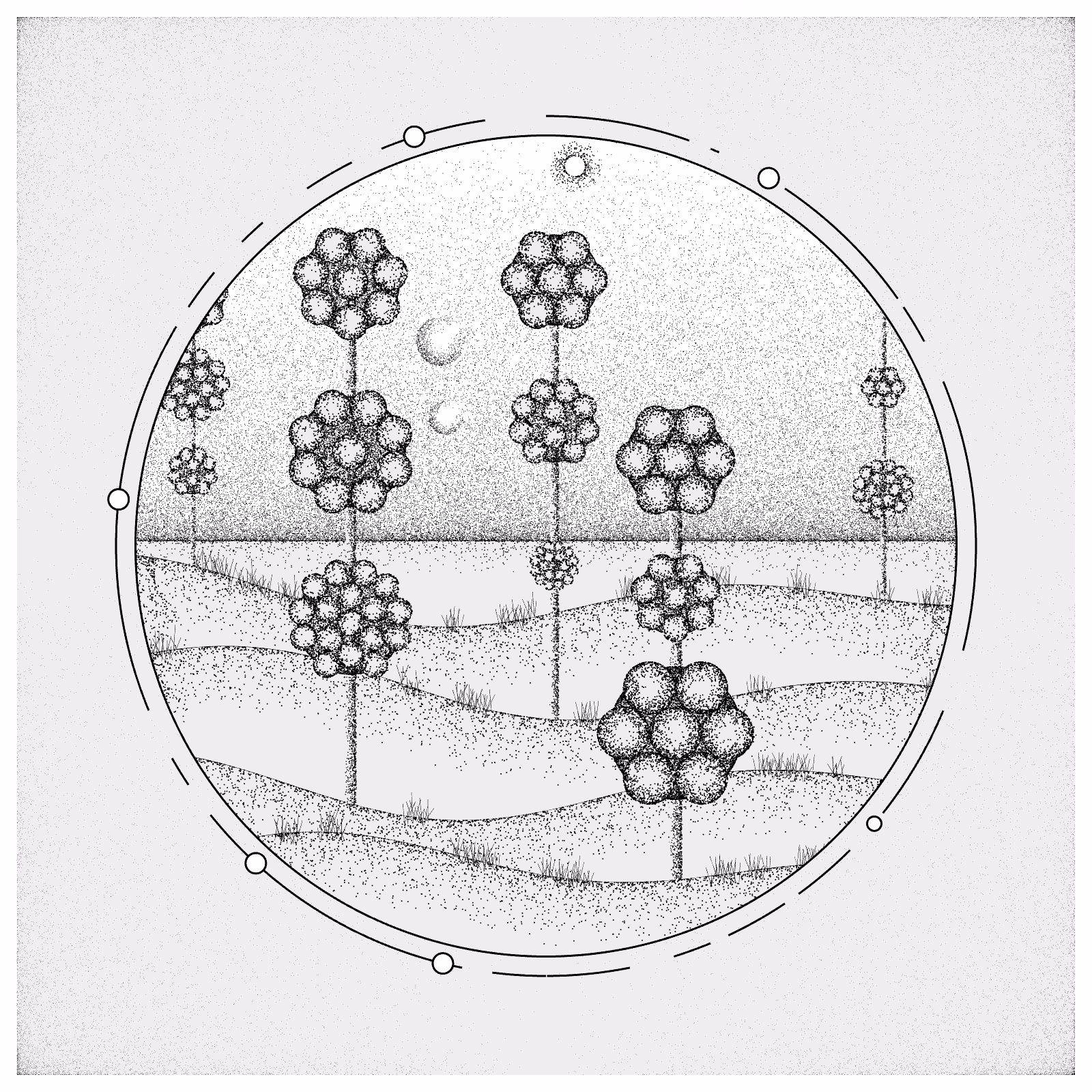 EXPLORING SPACE FLOWERS #38