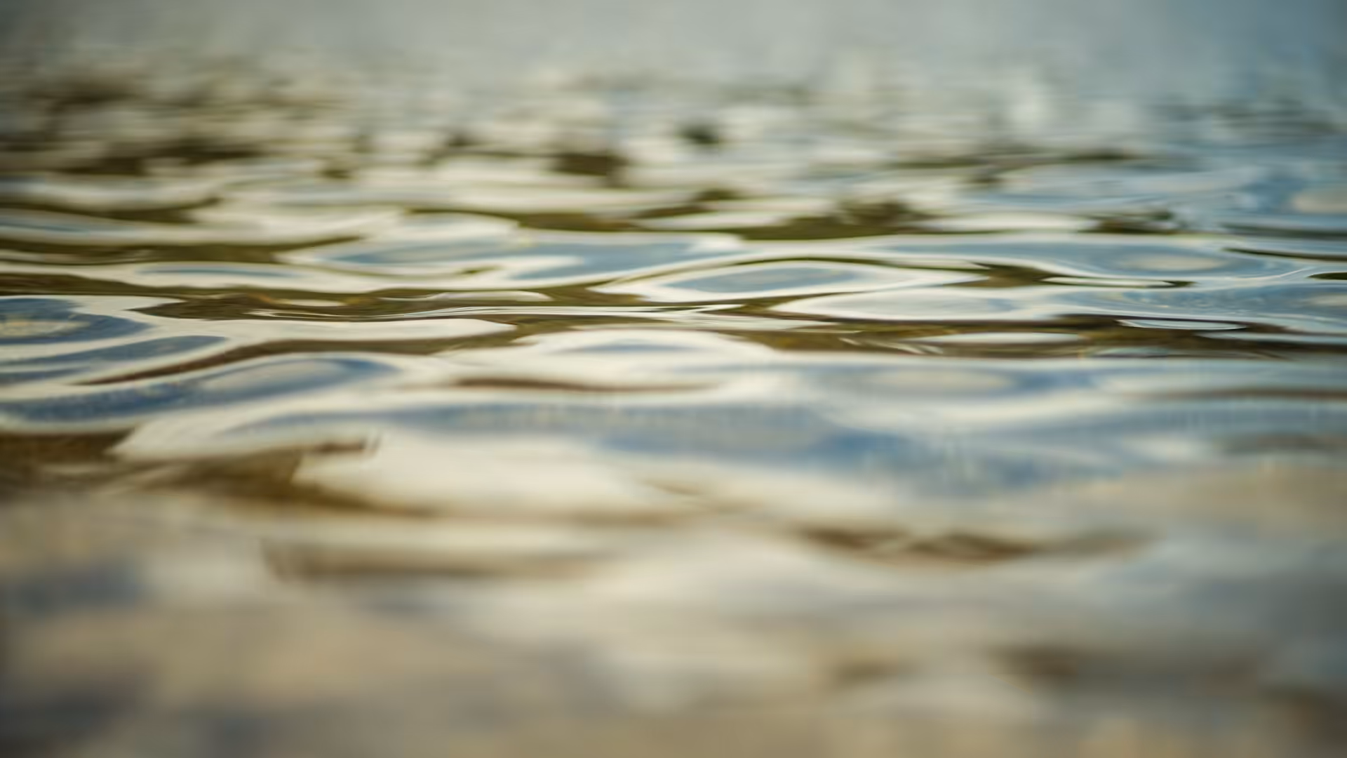 Formless