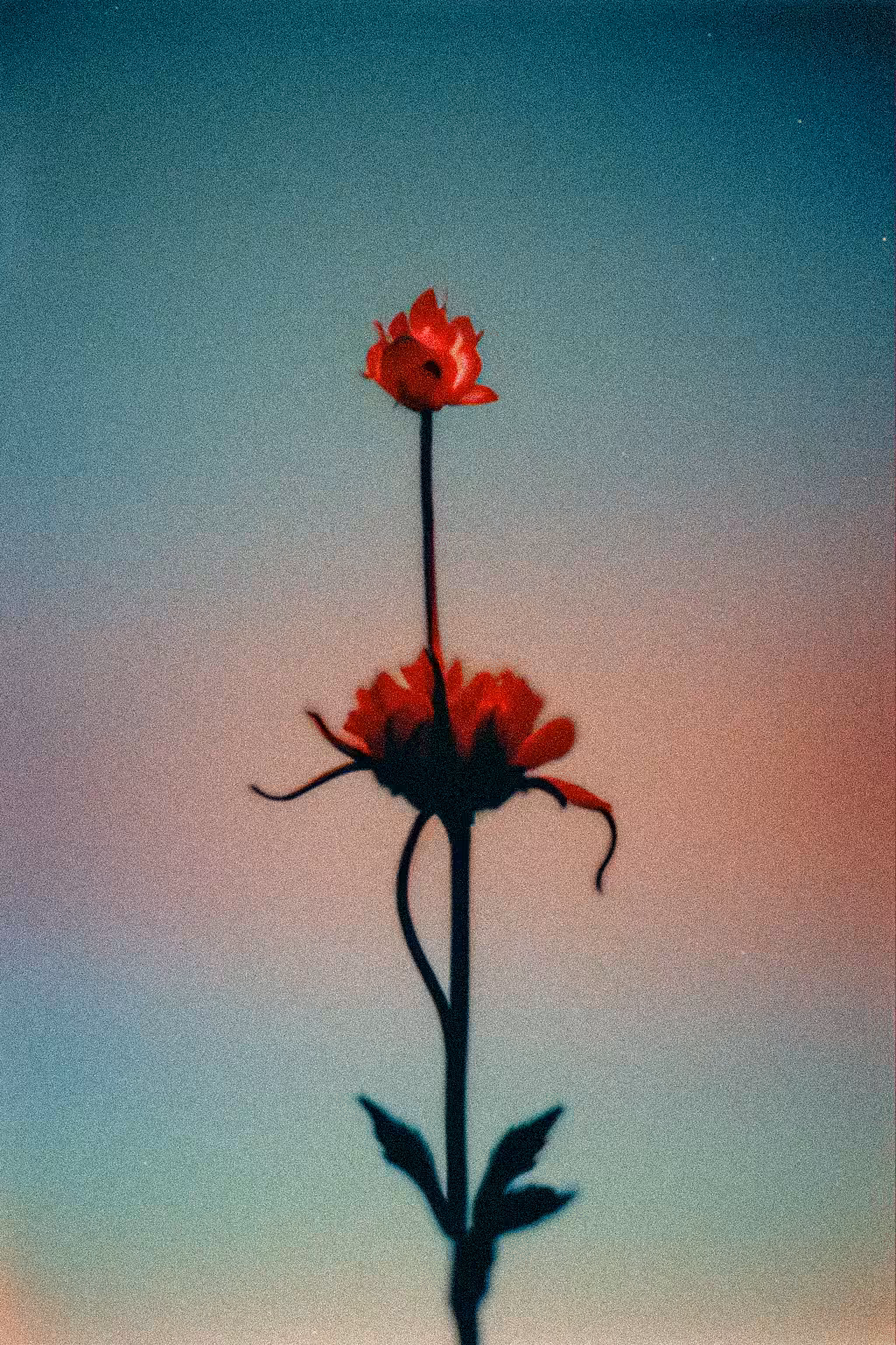 Red Soul Touches #3