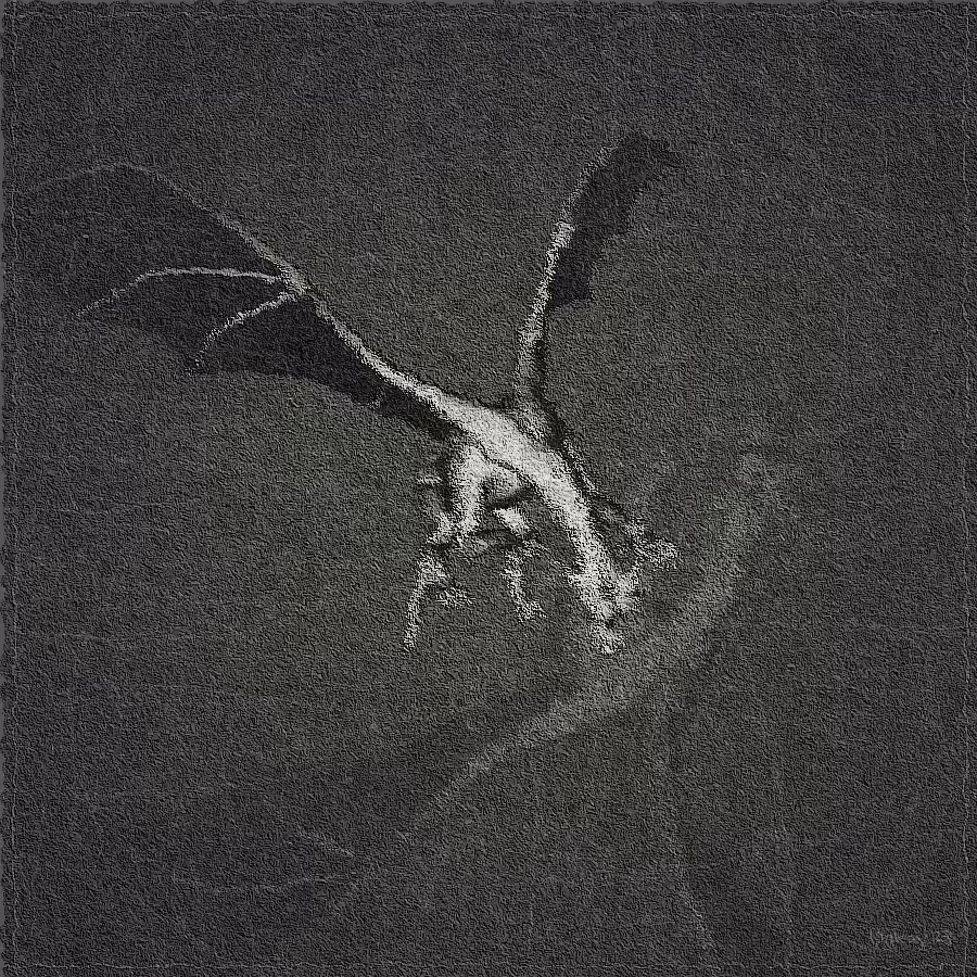 The Spirit of Dragon #42
