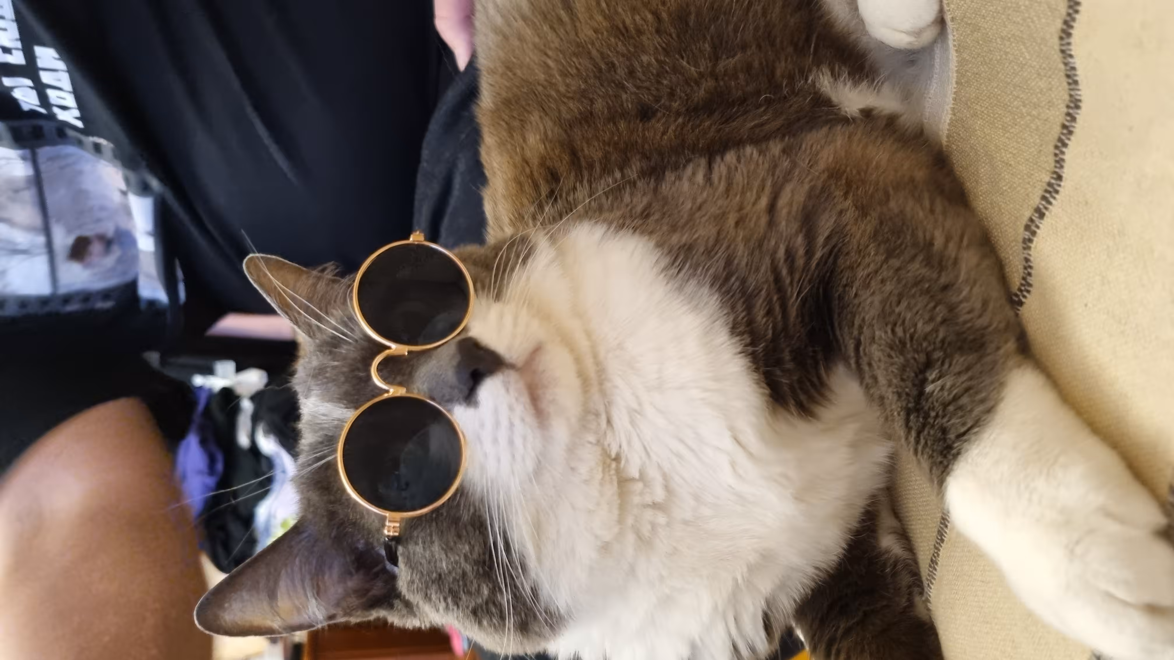 Gm