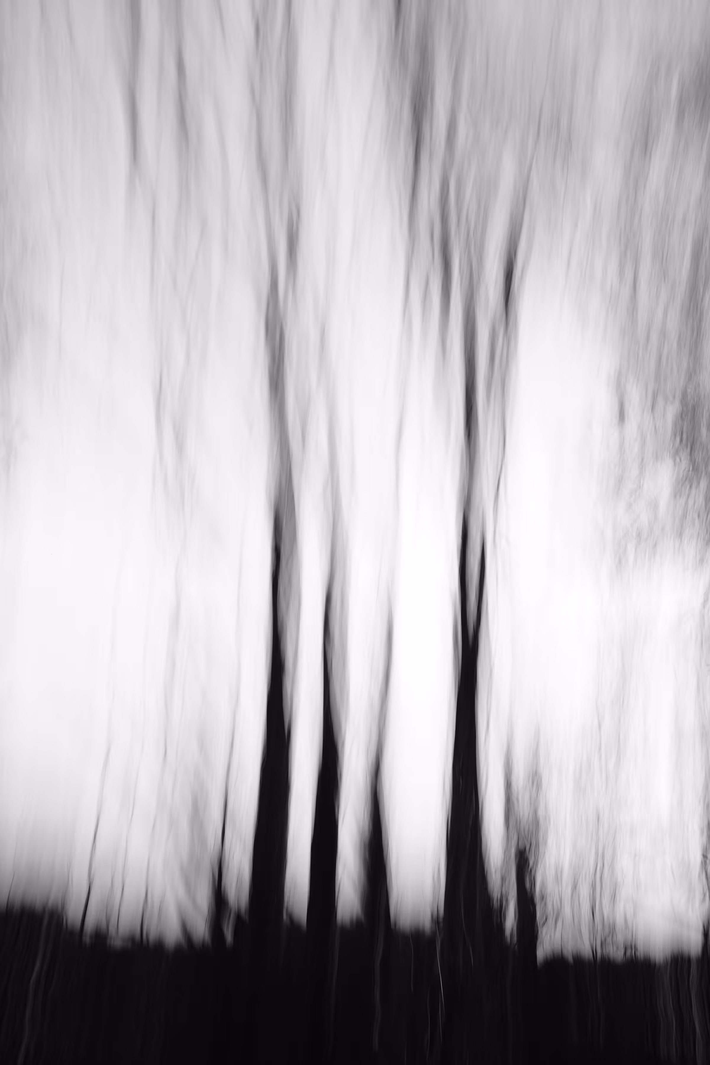Roots
