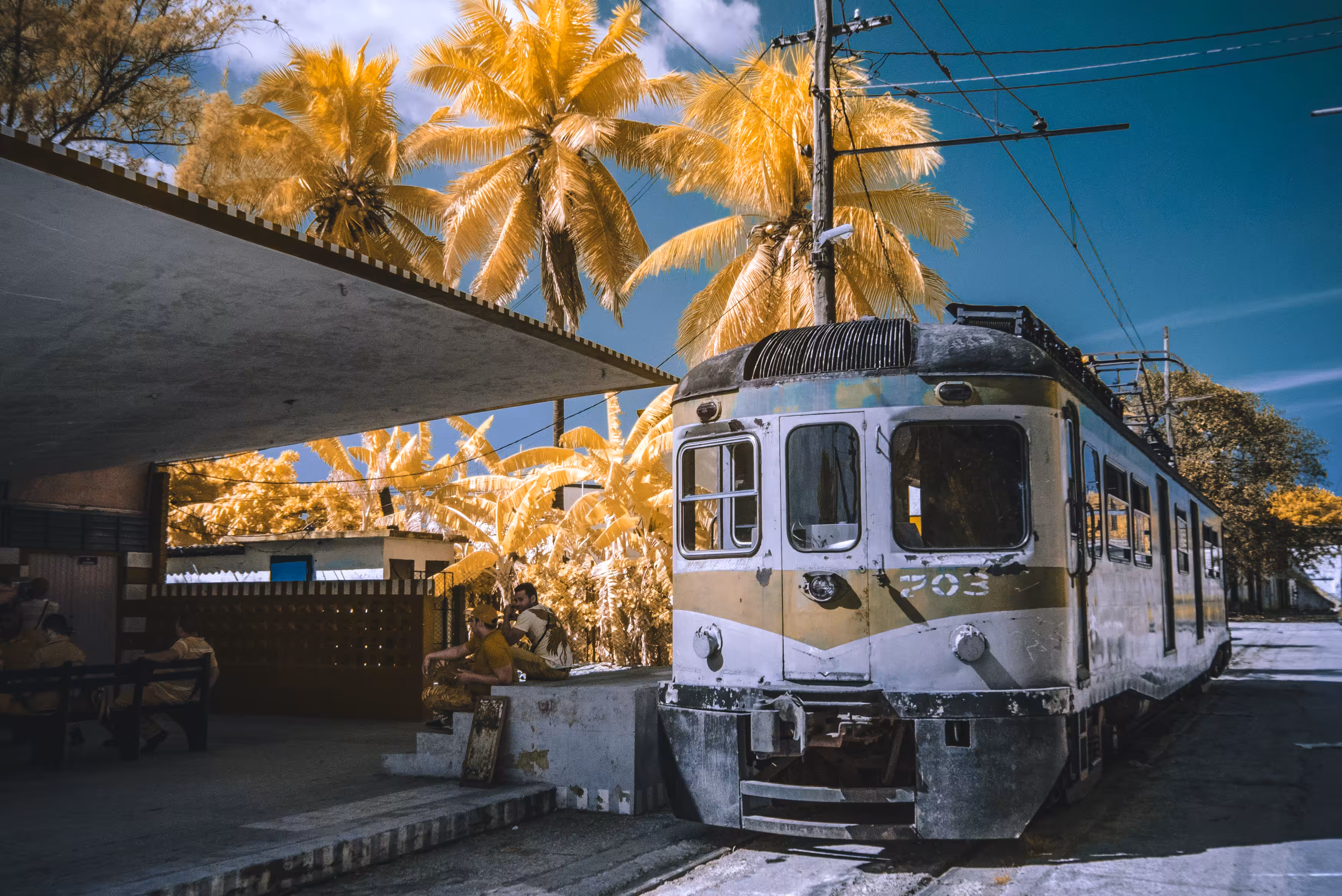 The 703 from Casablanca