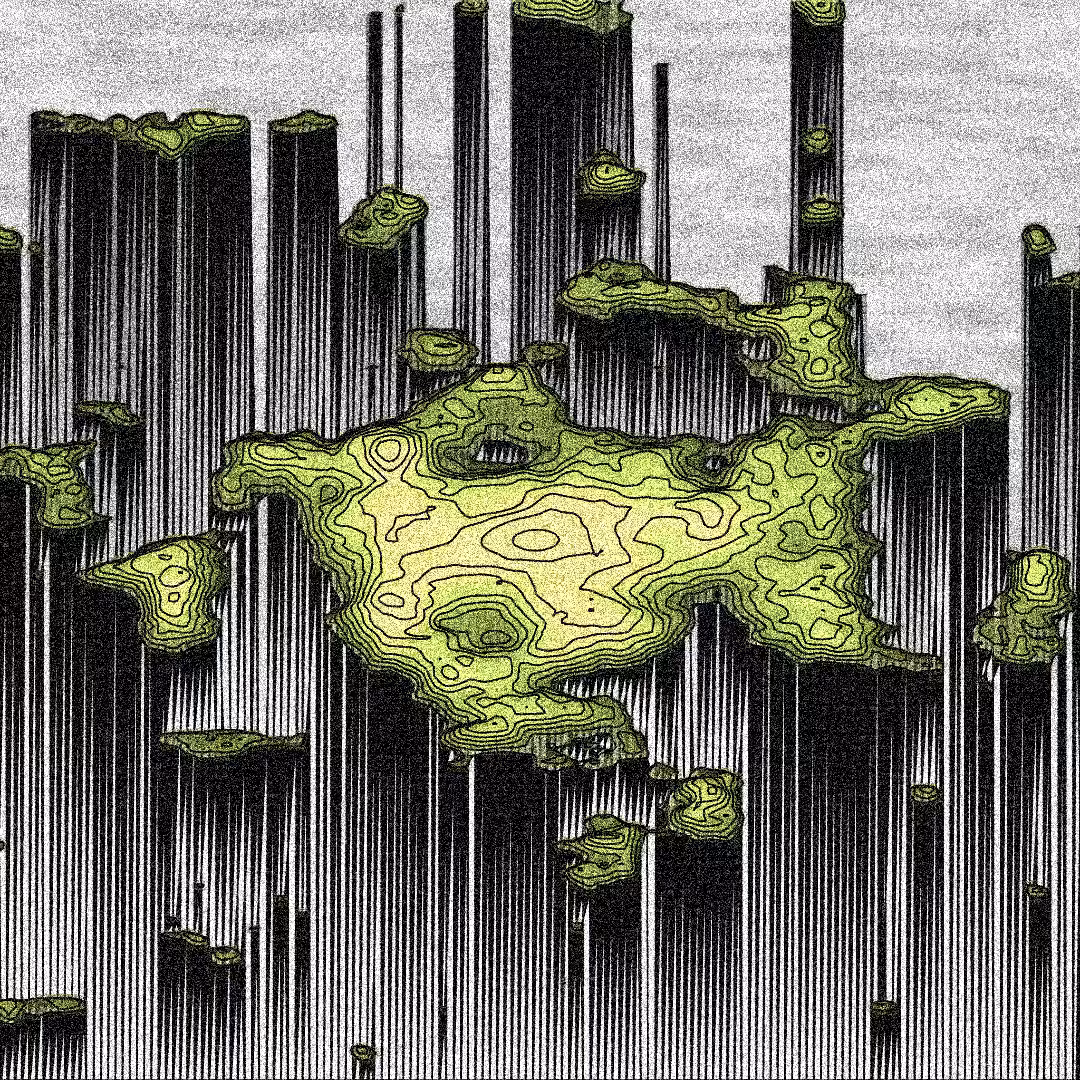 New World #5