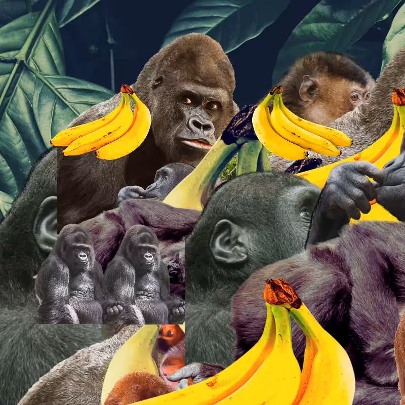 Banana #1 #17