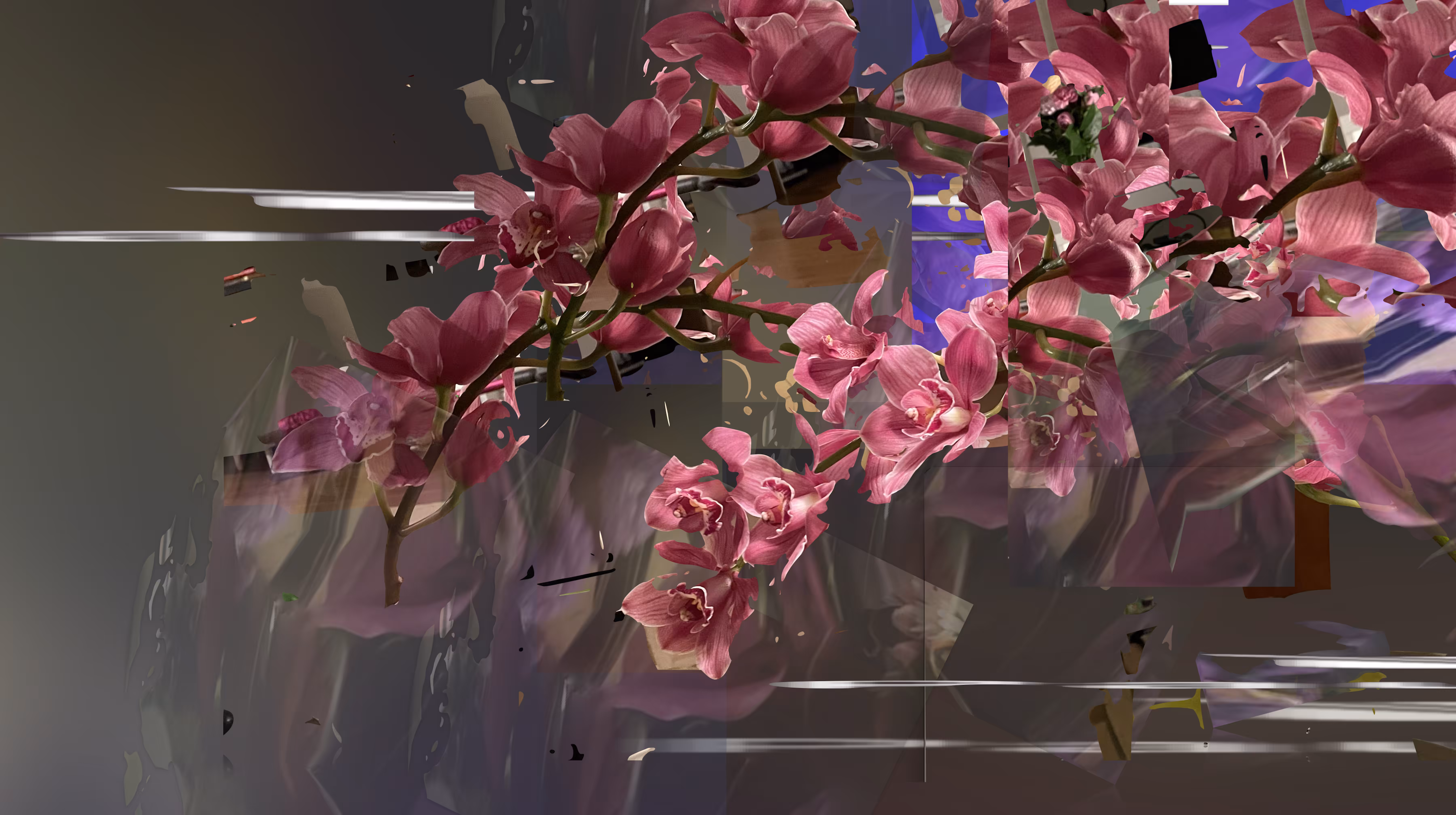 orchid2world_ take0.5
