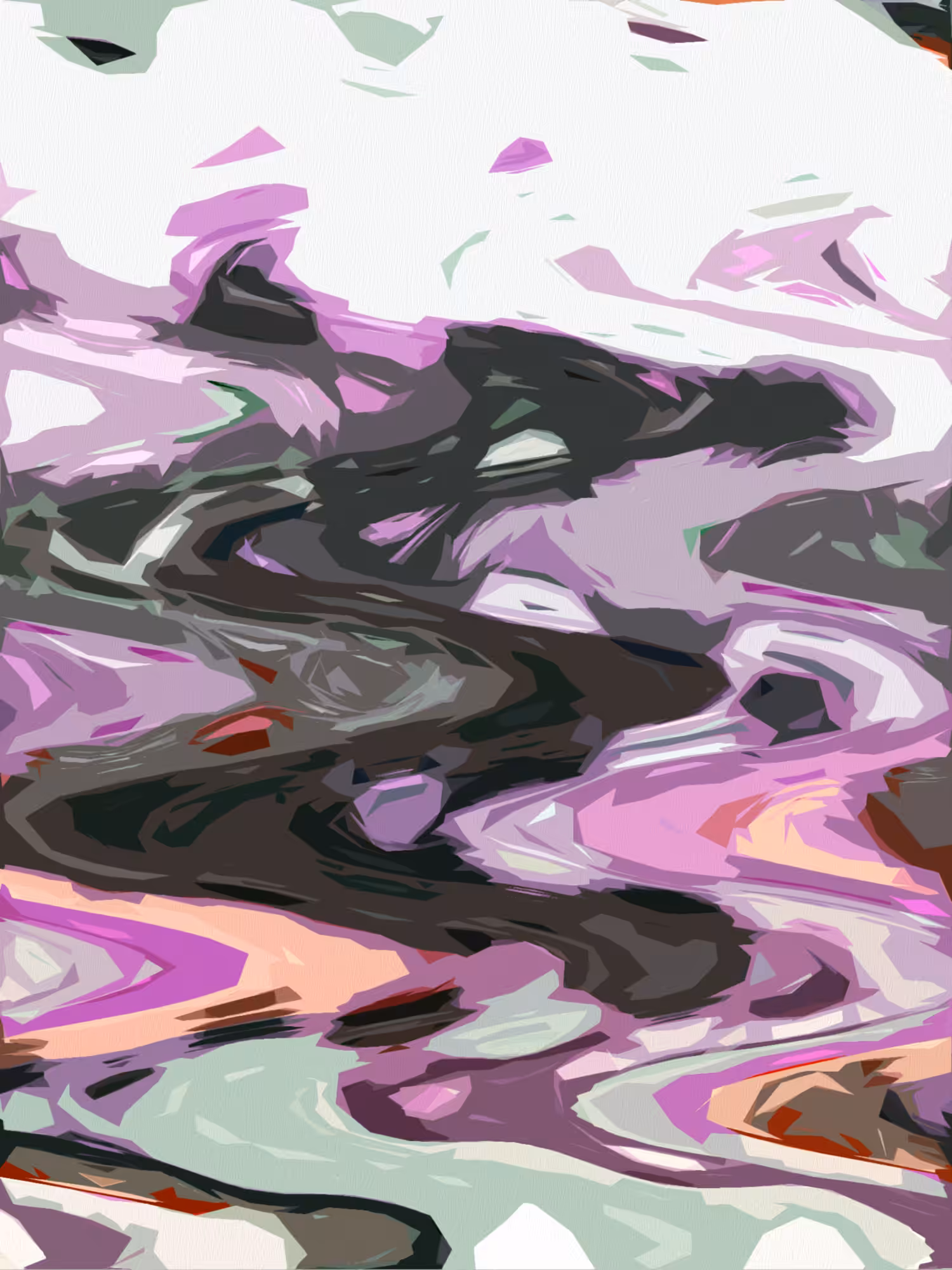 Abstract Portrait Of Two Cats