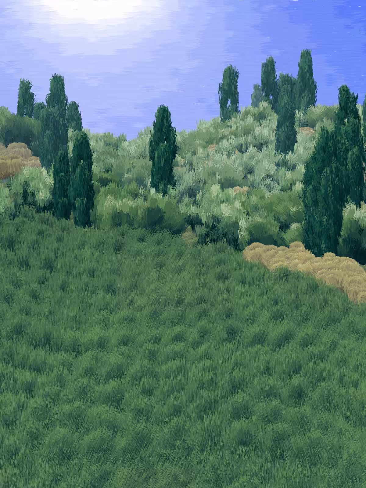 Provence #130
