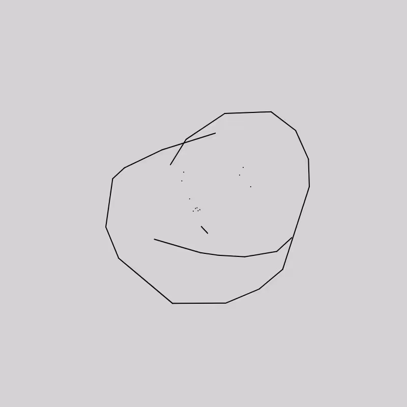 NeuralFaces #813
