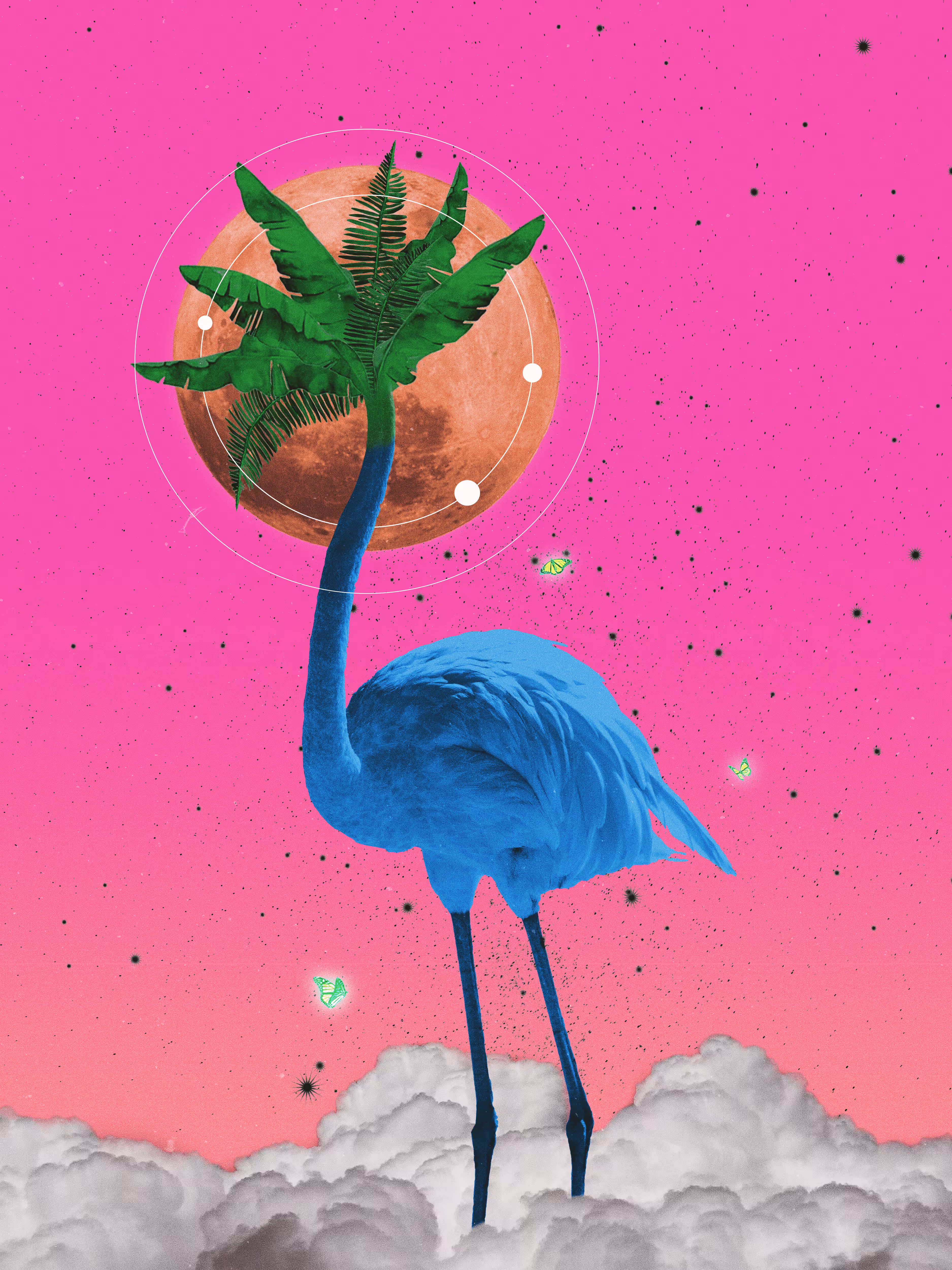It's Boring Being The Same Flamingo