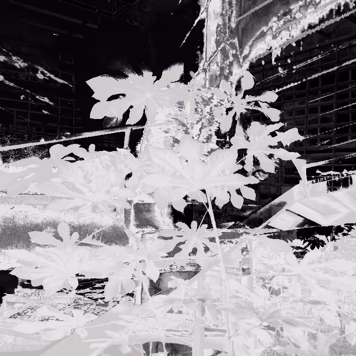 Ruins of Modernity #7