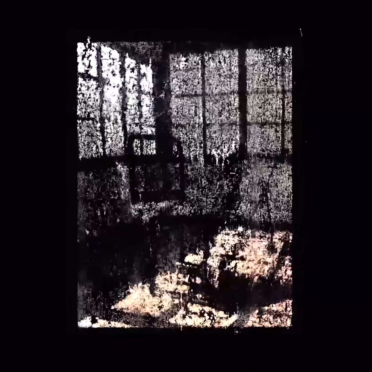 Meditation II