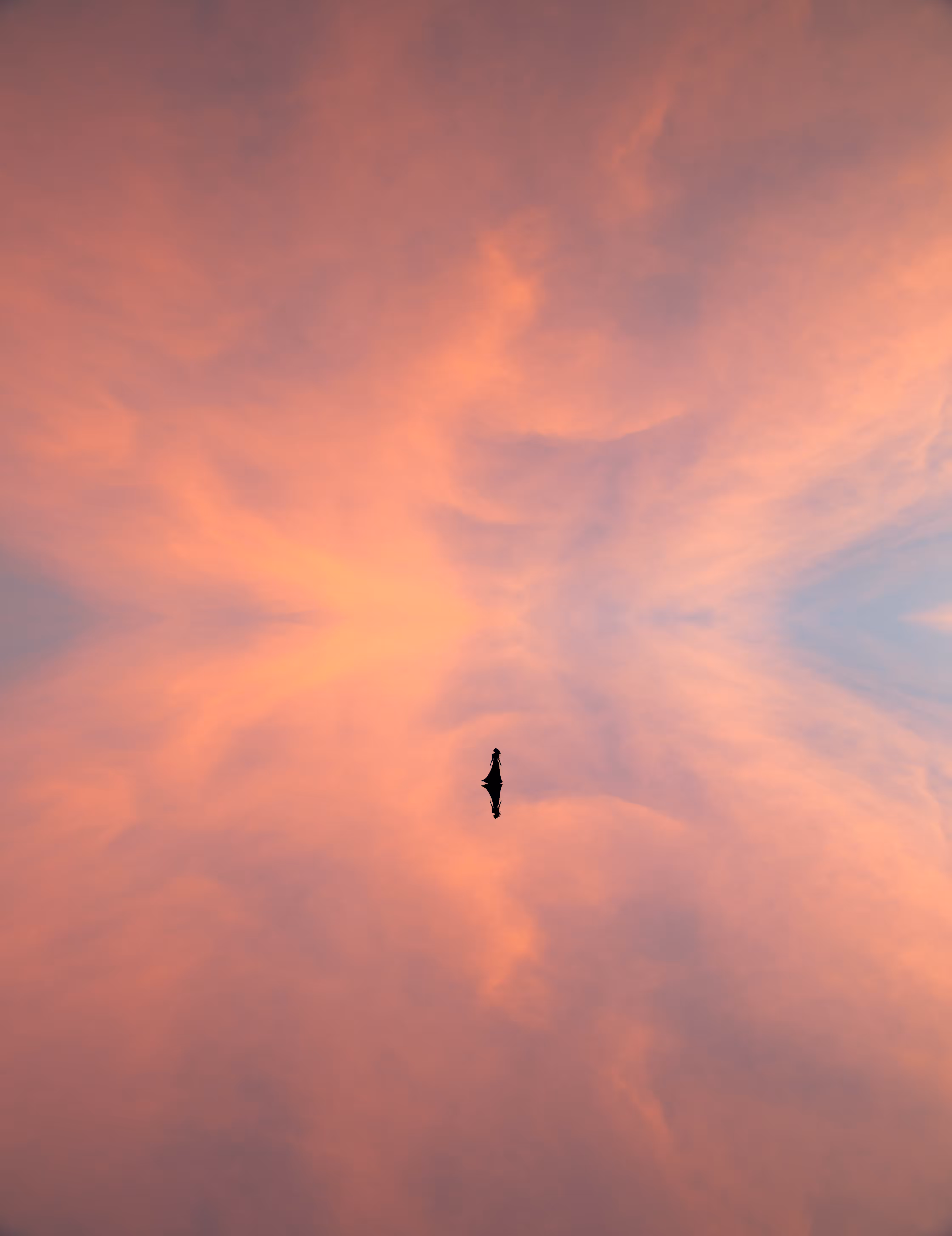 Reflection #12