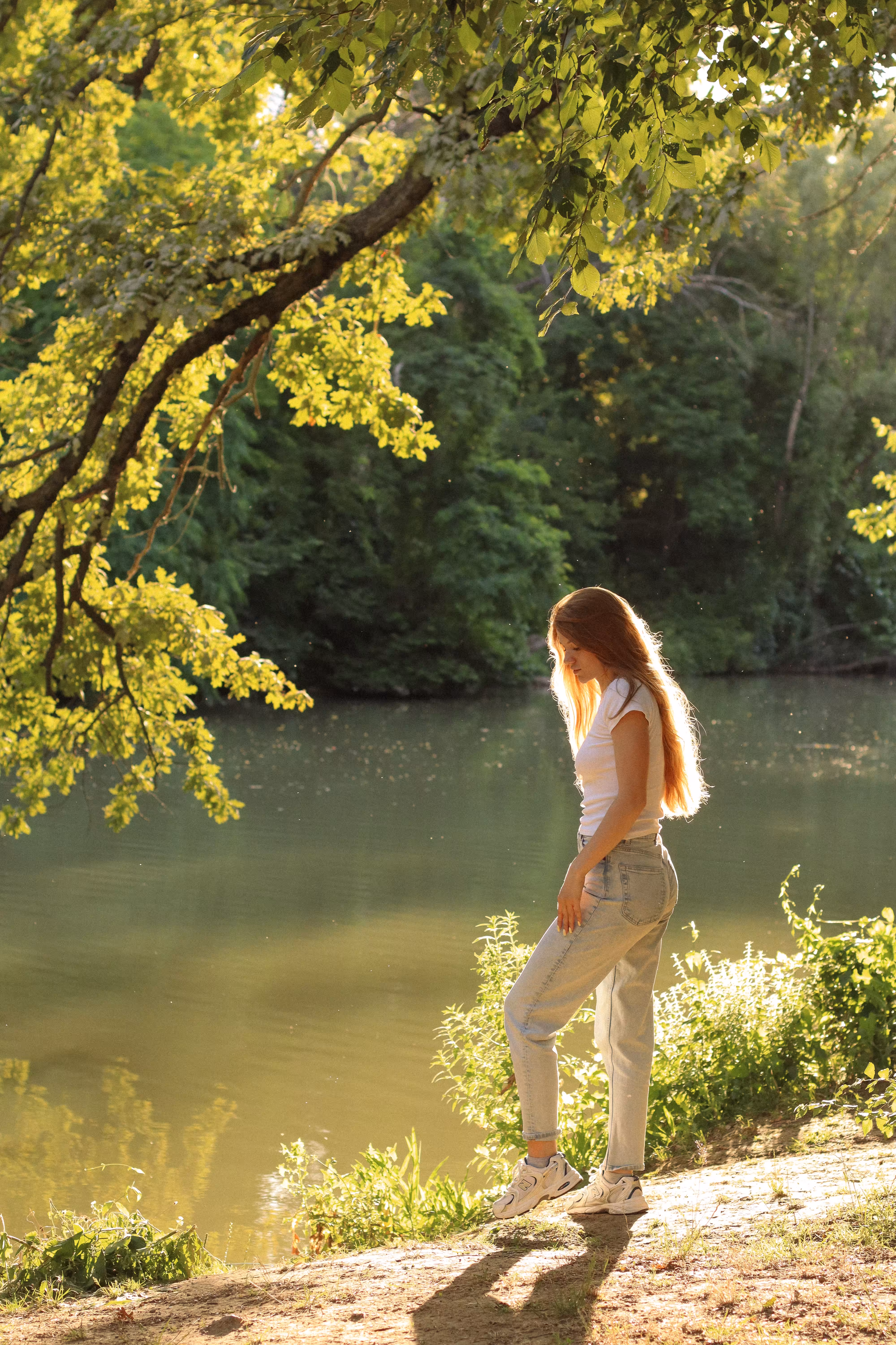 Photo gallery of my life: Warm Stillness