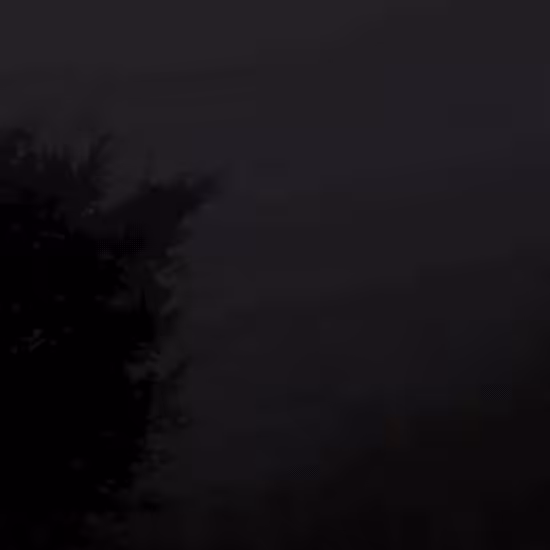 The Guardian Of The Forest
