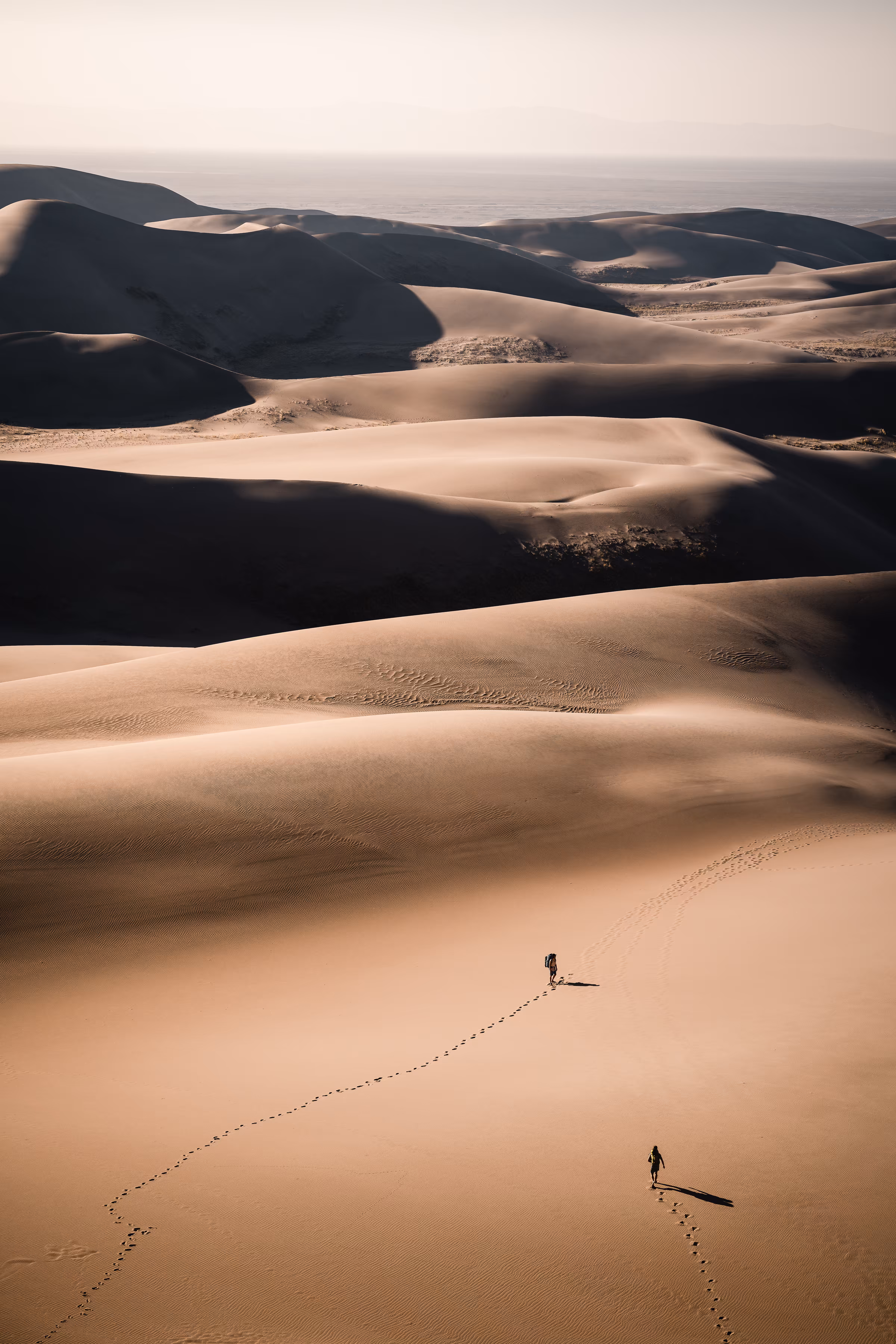 DUNE - 22, wander