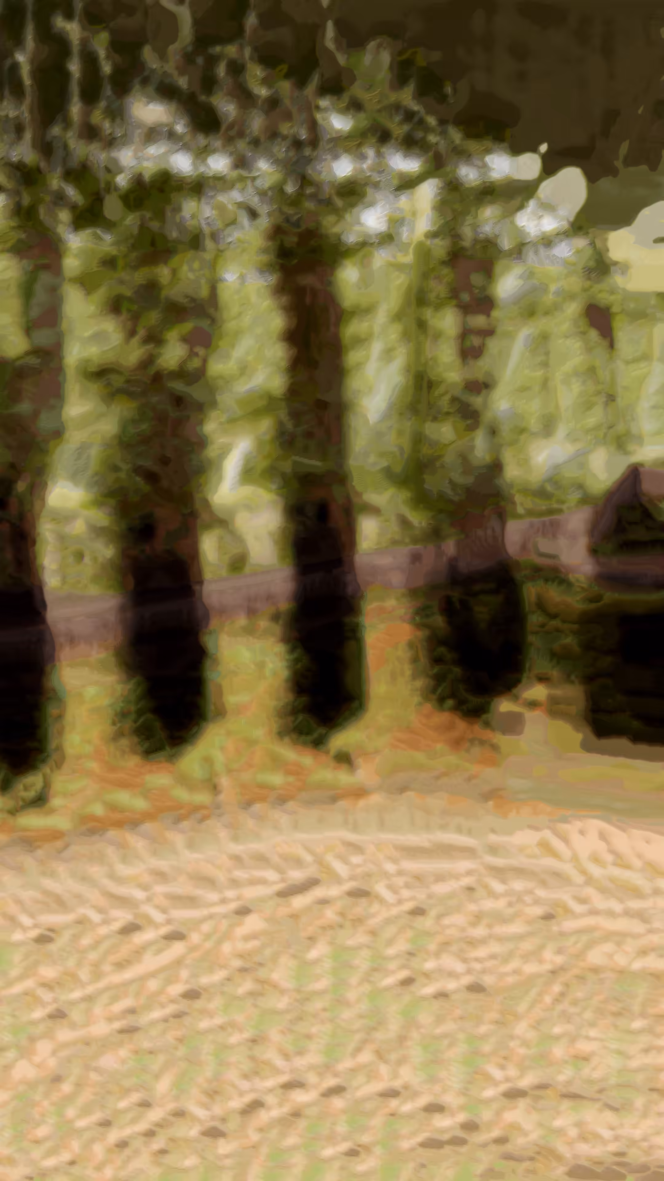 Chimeric Interlude (IV)