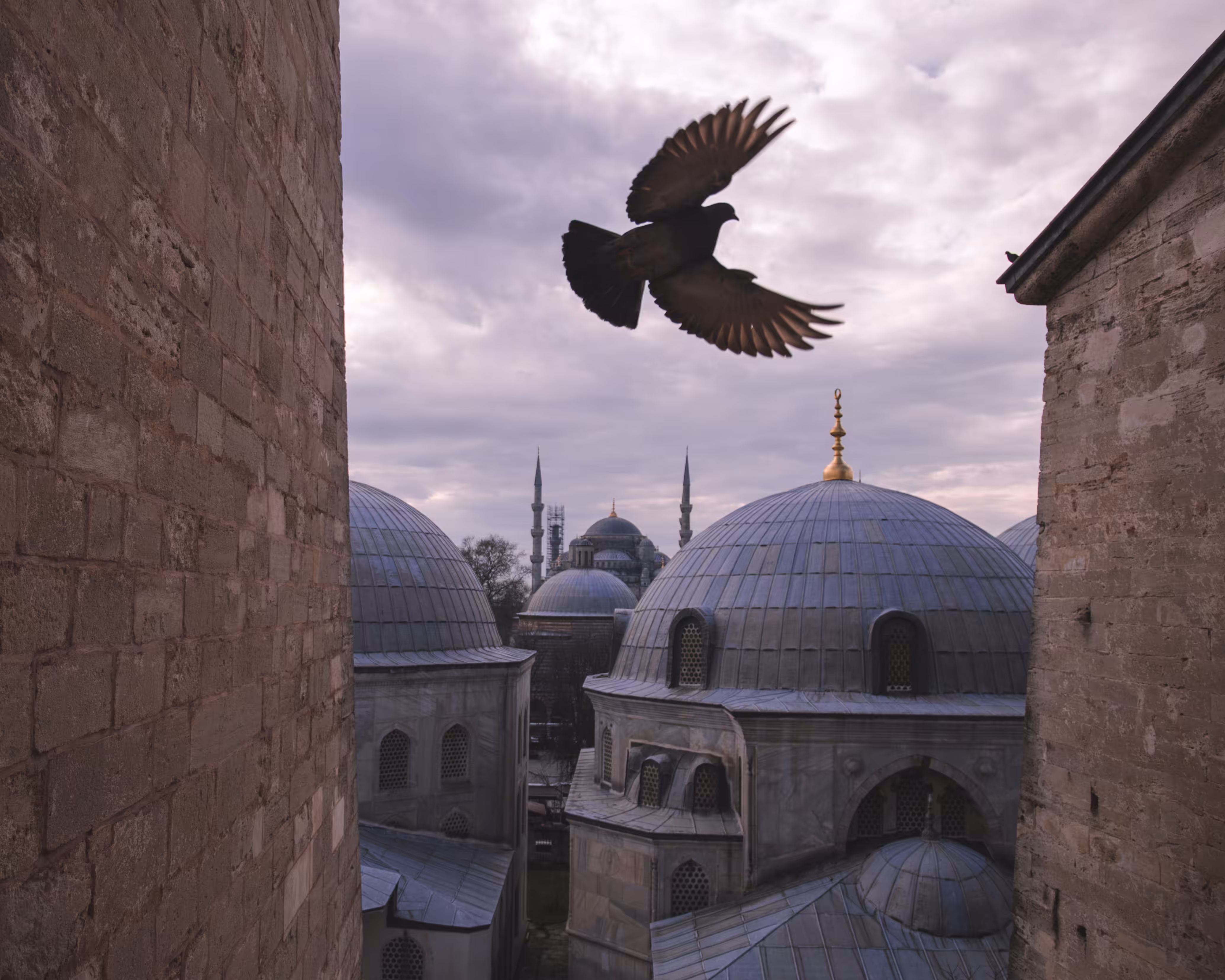 Teşekkürler - Istanbul #3