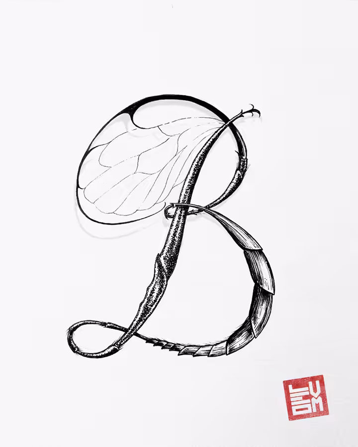 B - Insecttering