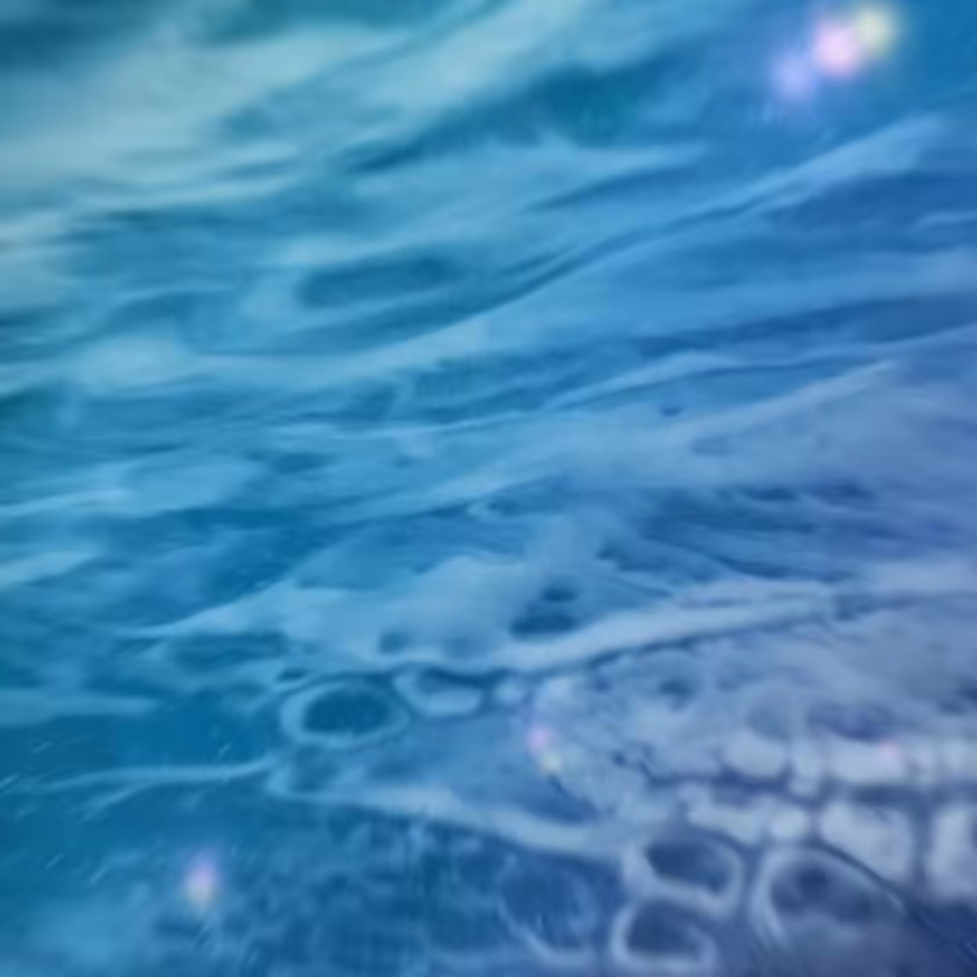 heartflow project | Space flow