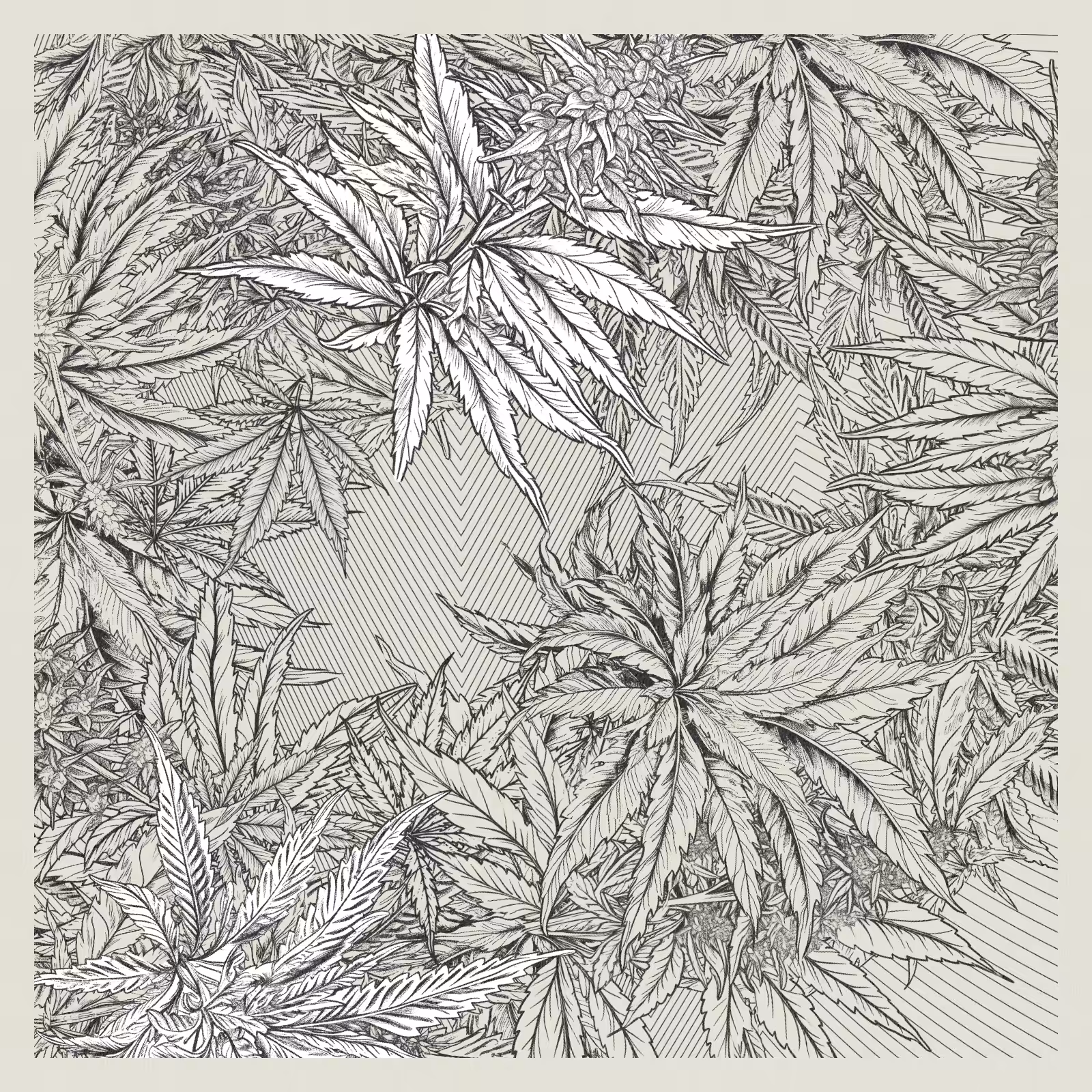 zancannabis #2