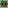 Pixel Moku #8