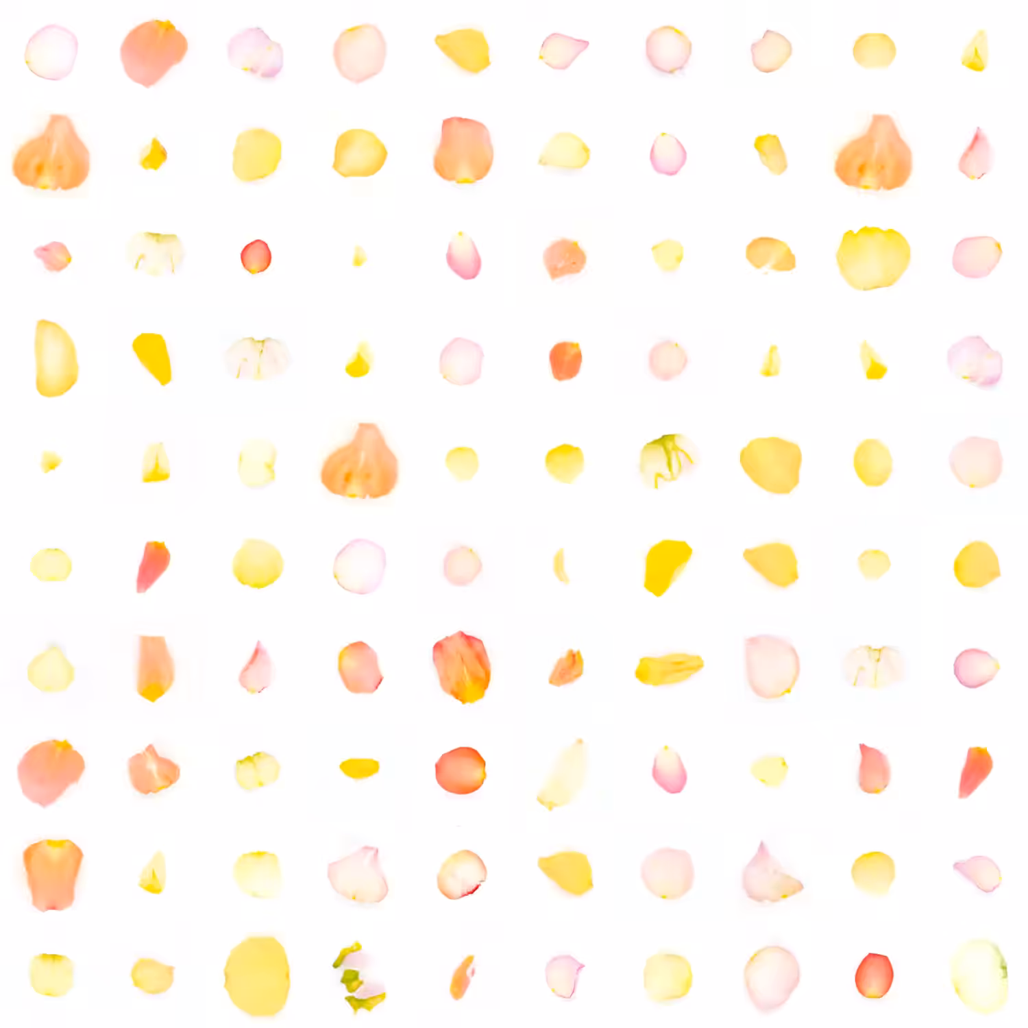 Infinite Petals 10x10#2398