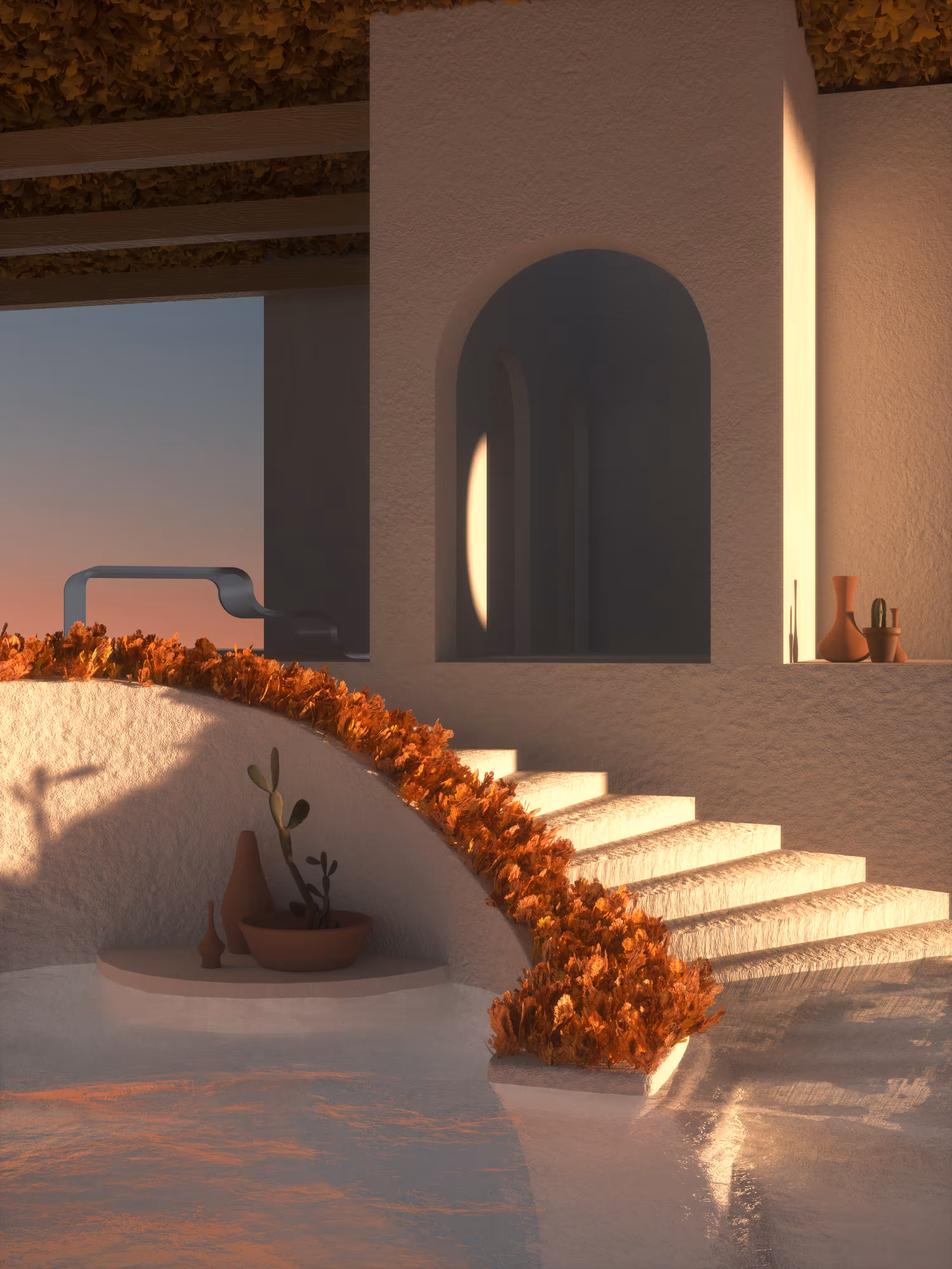 cacti dawn