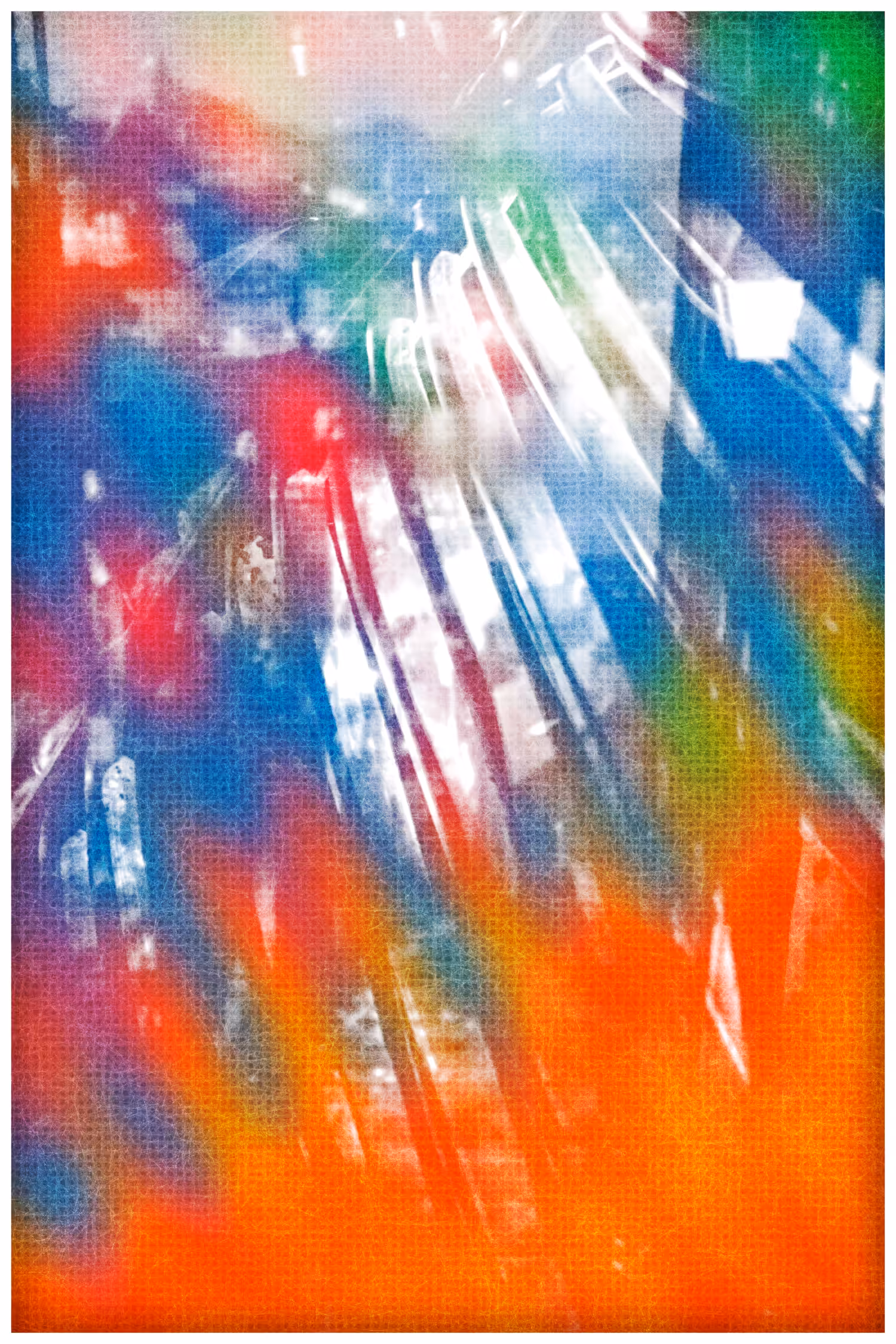 ANIMA #24